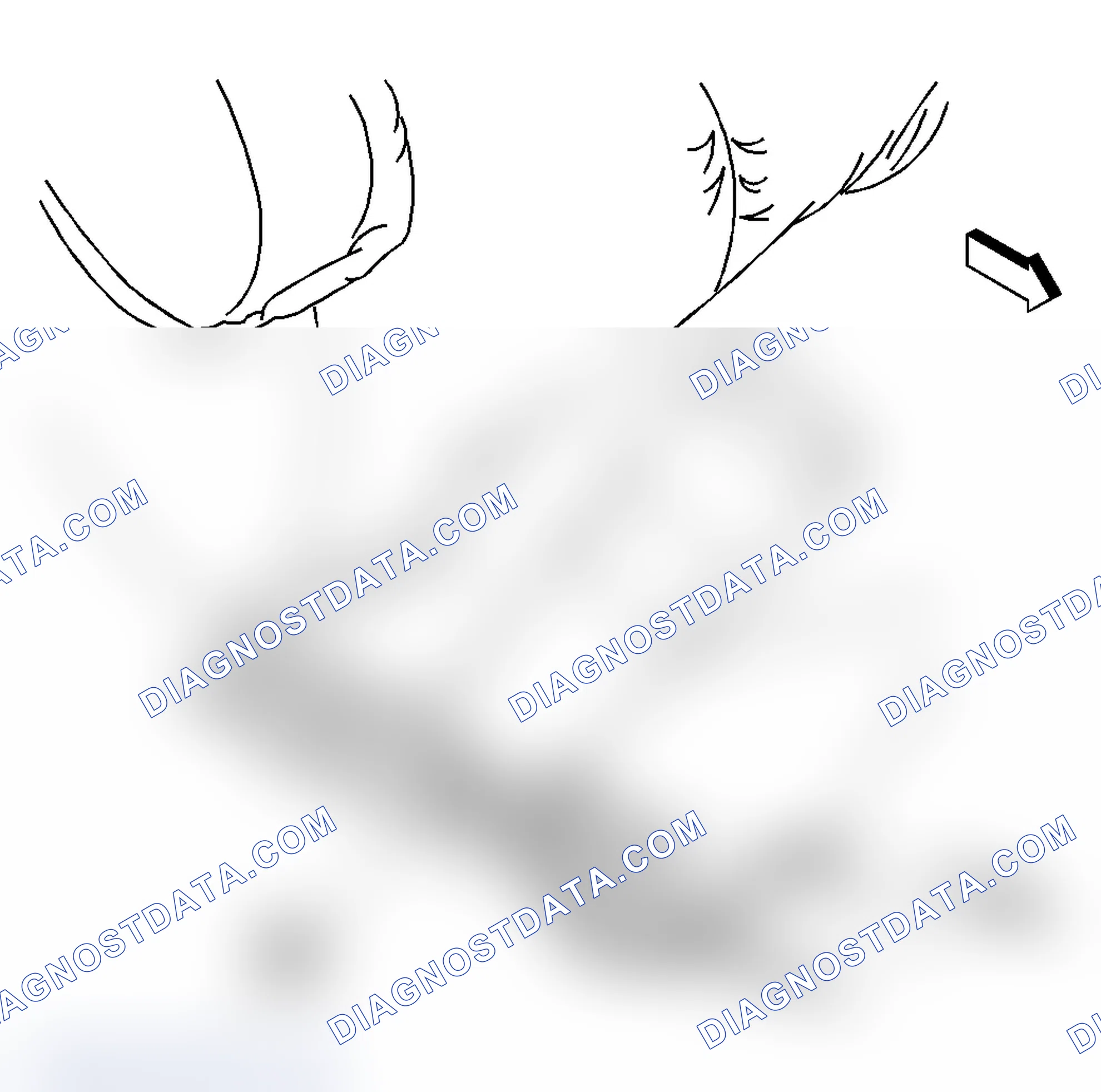 Scheme 2: Seat Belt Component Views