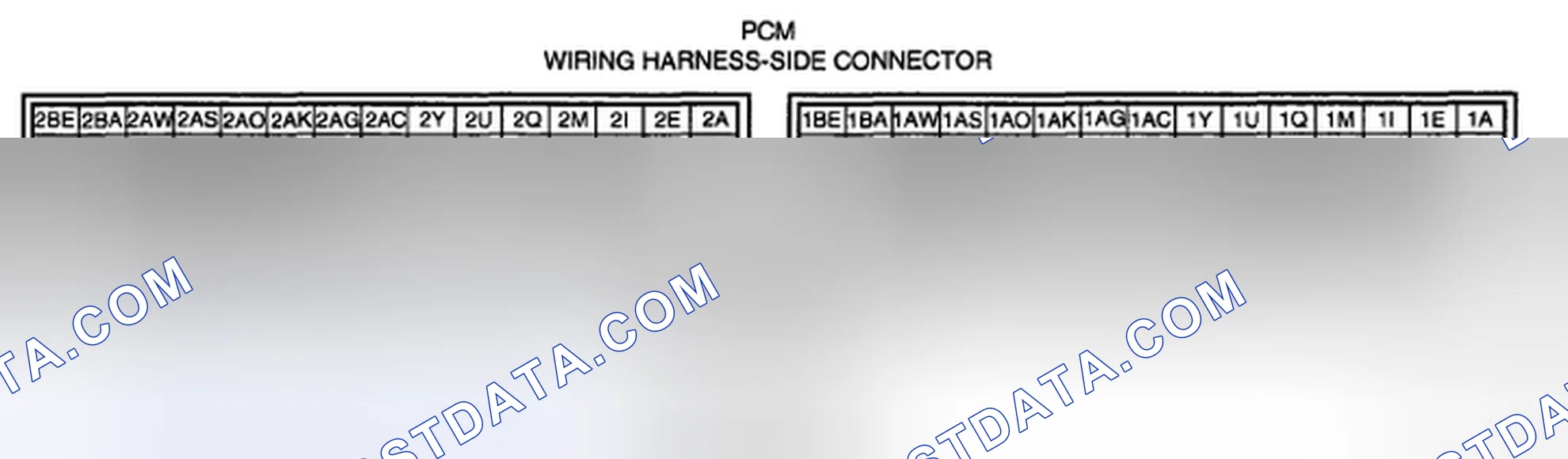 Scheme 146