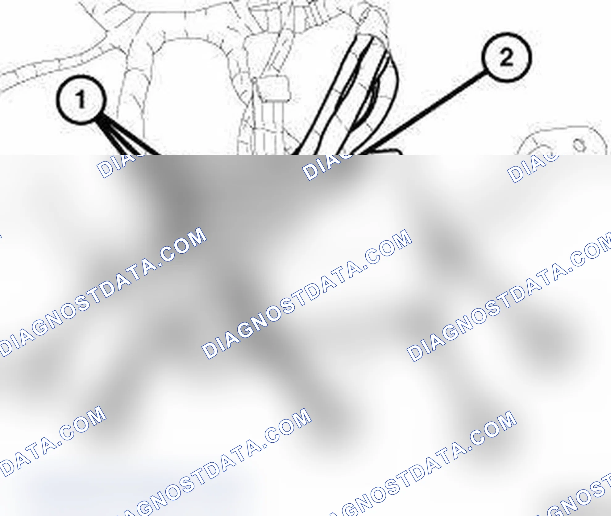 Scheme 7