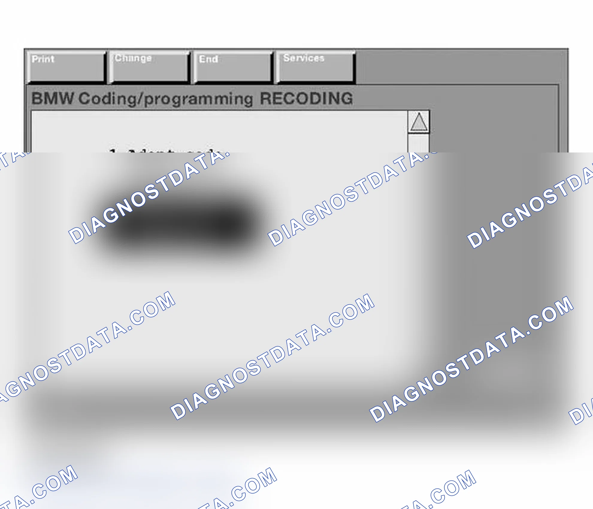 Scheme 180: Manually Entering the Variant Code
