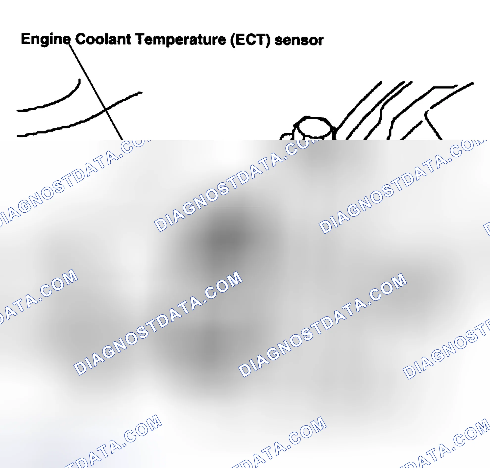 Scheme 36: Engine Coolant Temperature (ECT) Sensor