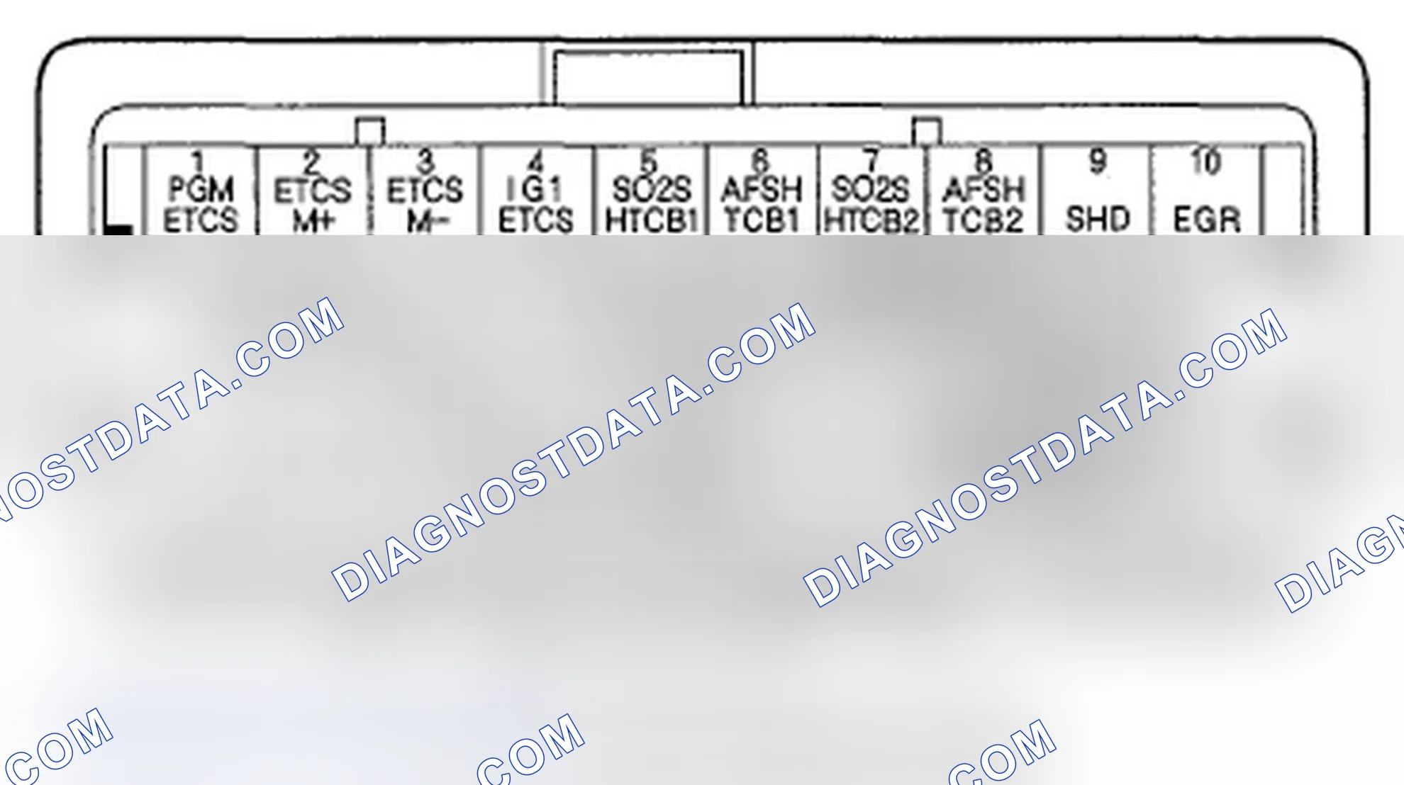 Scheme 205: PCM Inputs and Outputs at Connector C (o) (49P)