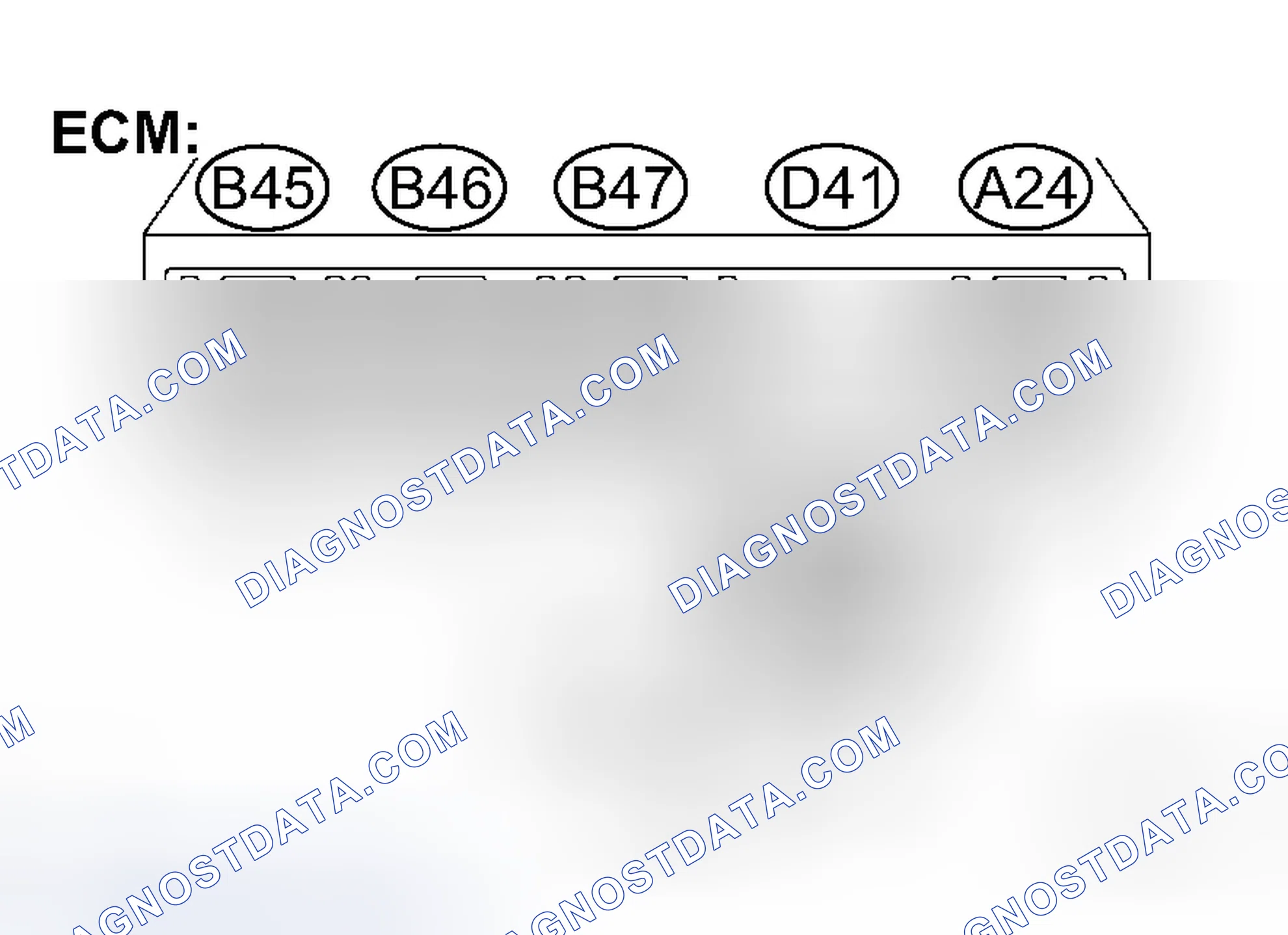 Scheme 8
