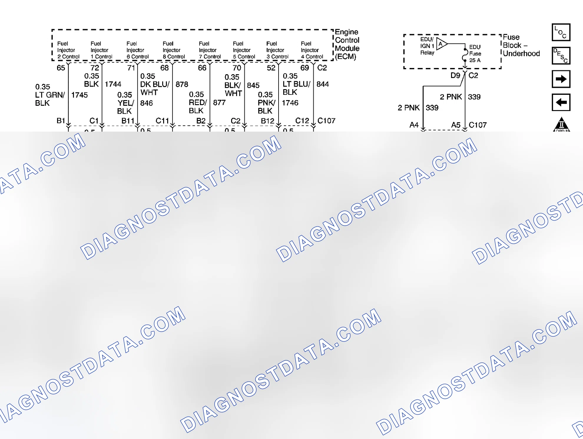 Scheme 304