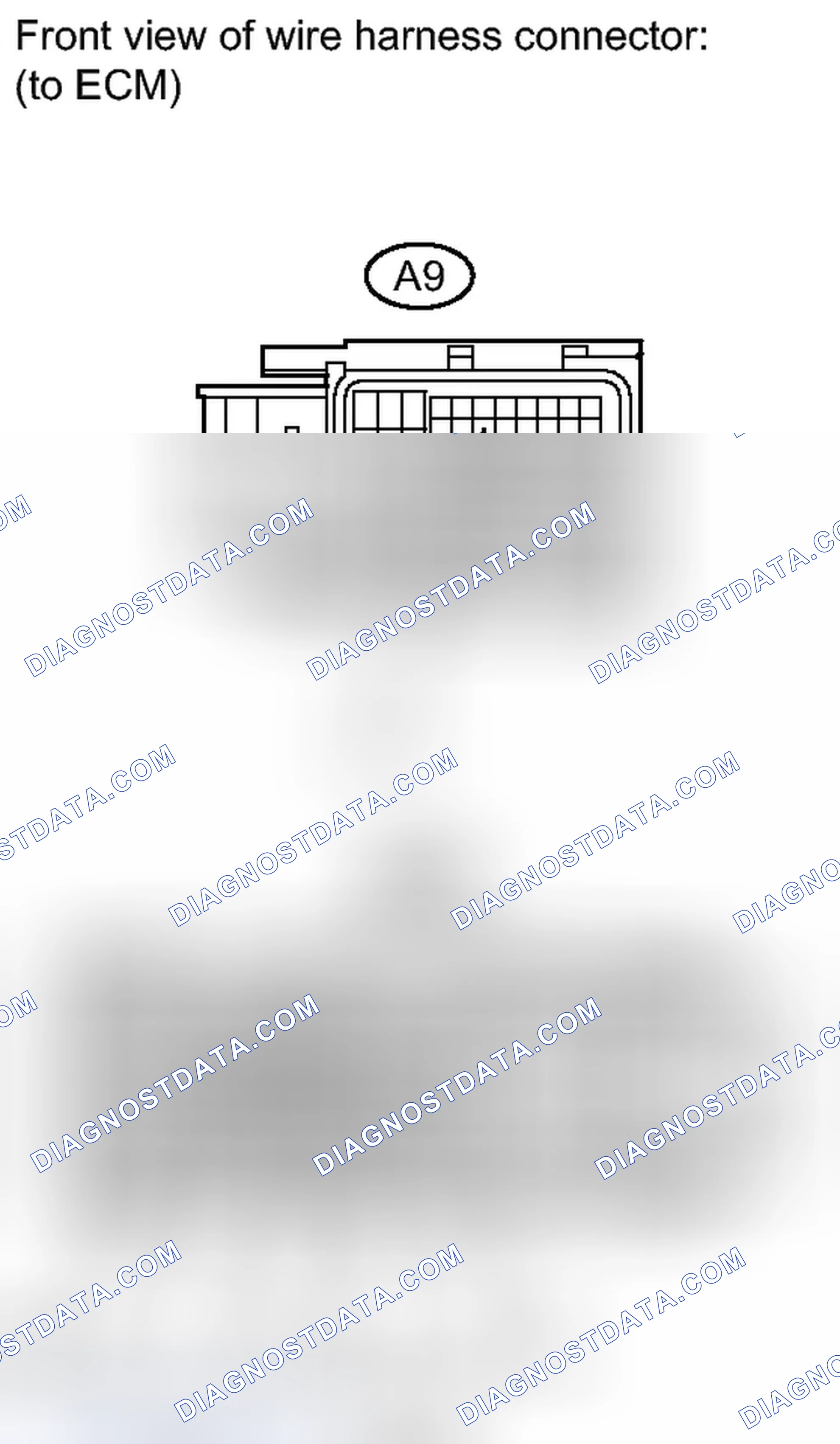 Scheme 1787