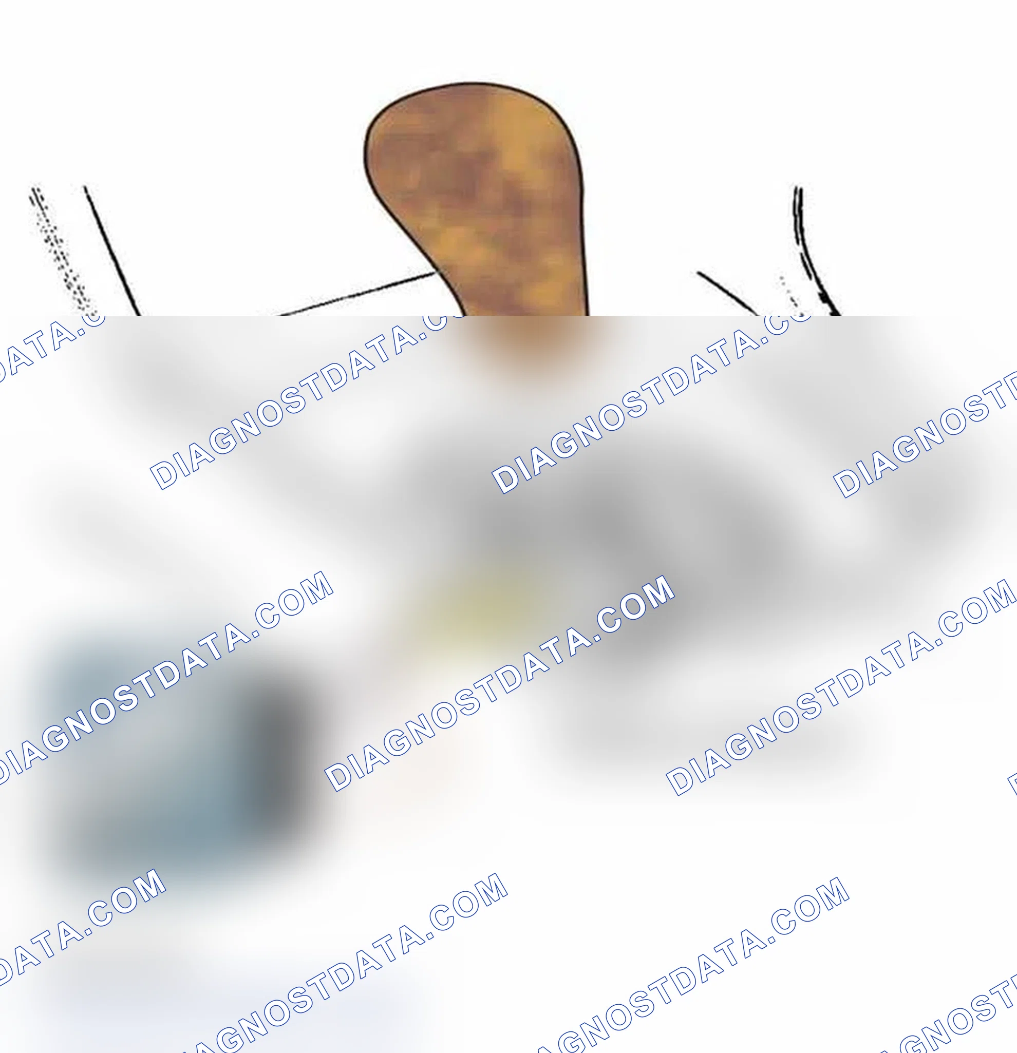 Scheme 76: SHIFT LOCK