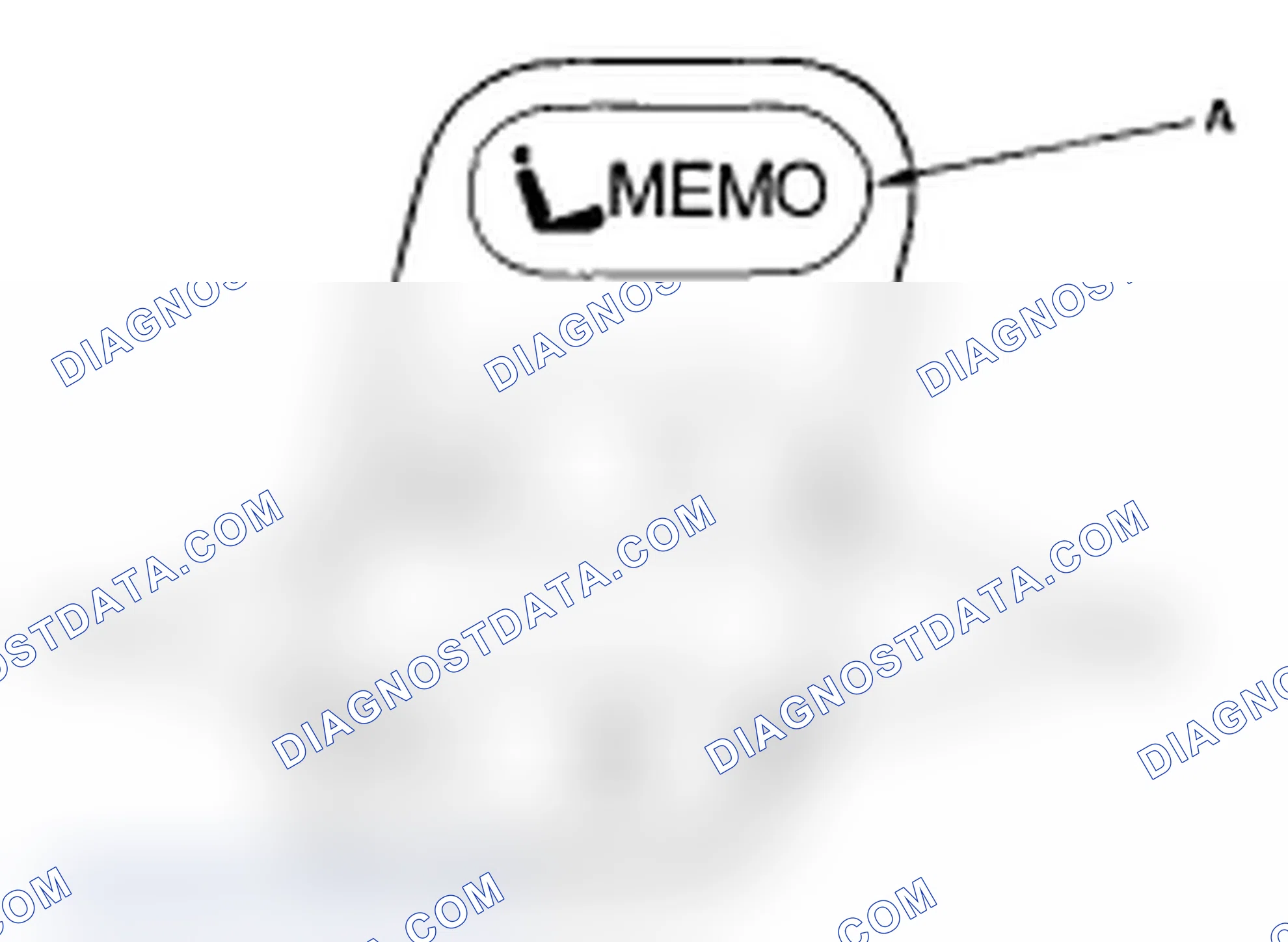 Scheme 4: Displaying the Diagnostic Trouble Code (DTC)