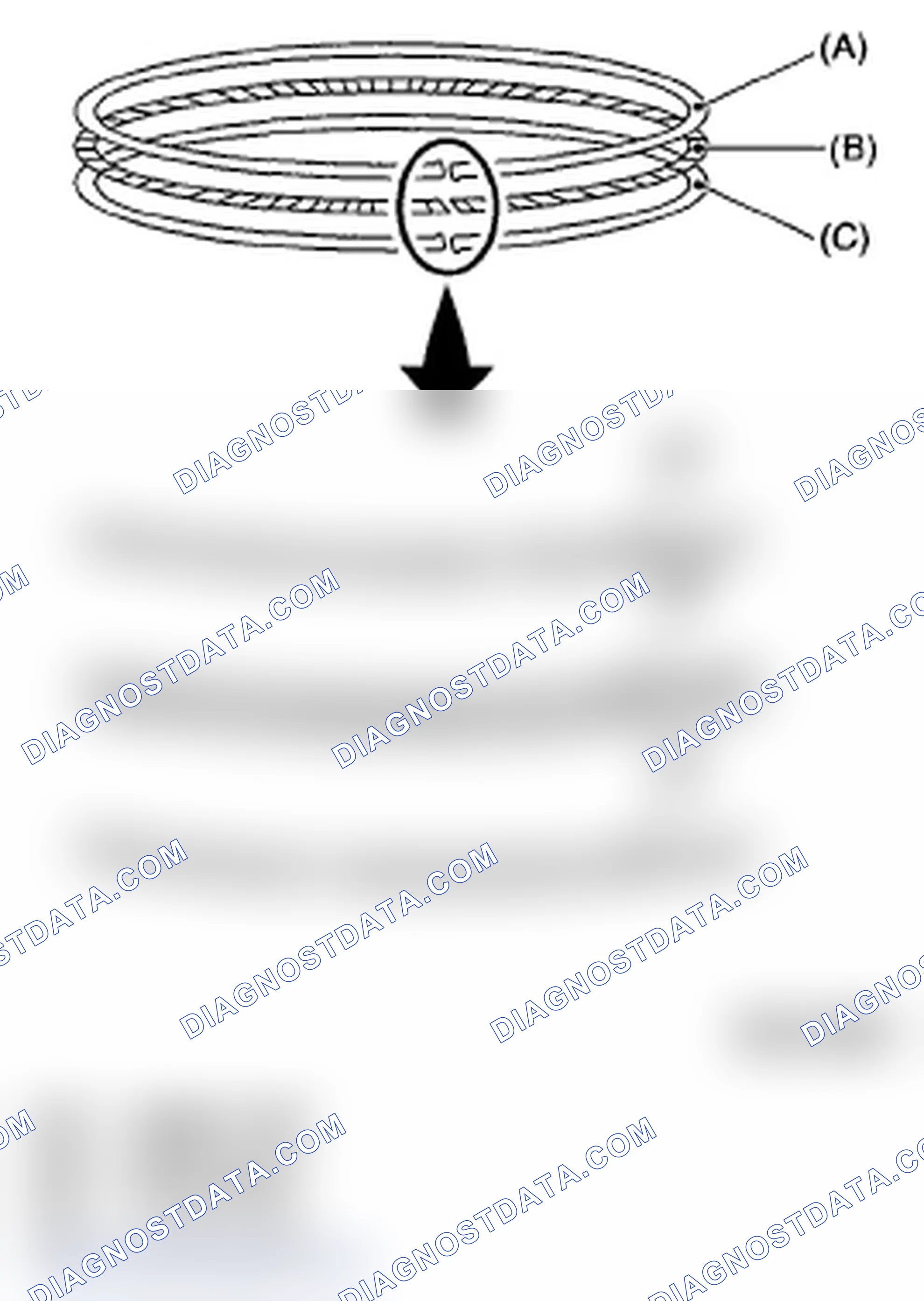 Scheme 502: PISTON RING
