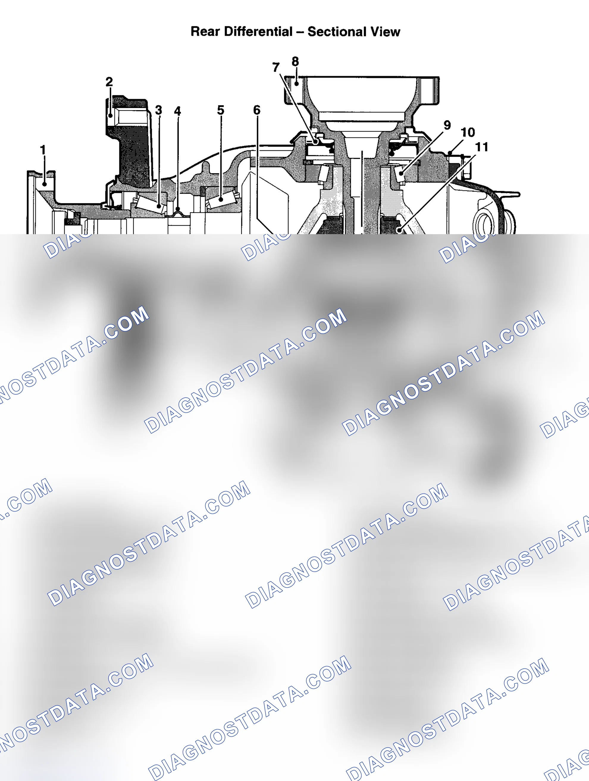 Scheme 4: REAR DIFFERENTIAL