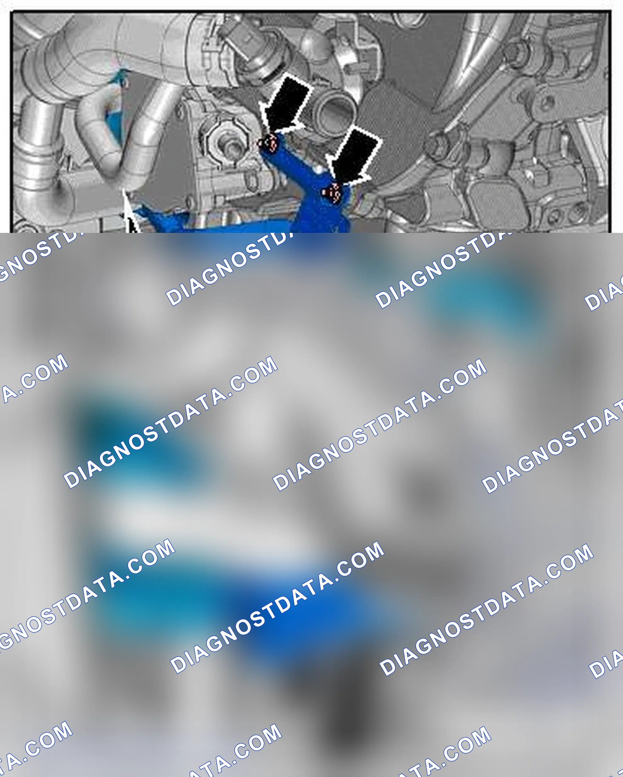 Scheme 244