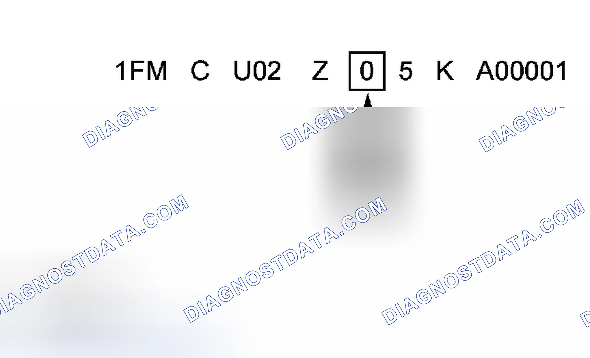 Scheme 7: Check Digit