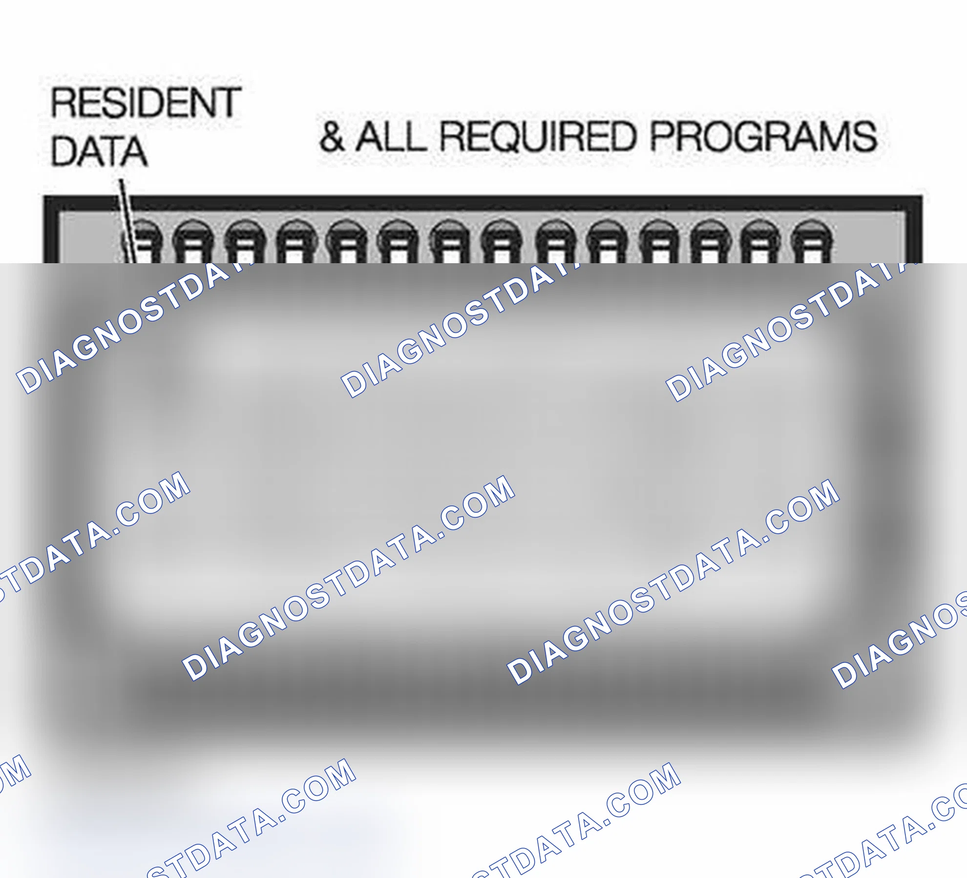 Scheme 372