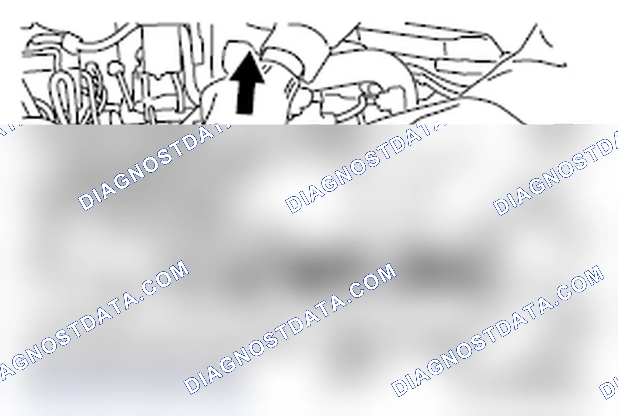 Scheme 43: << F >> CAMSHAFT AND CAMSHAFT SPROCKET ASSEMBLY (EXHAUST SIDE) REMOVAL