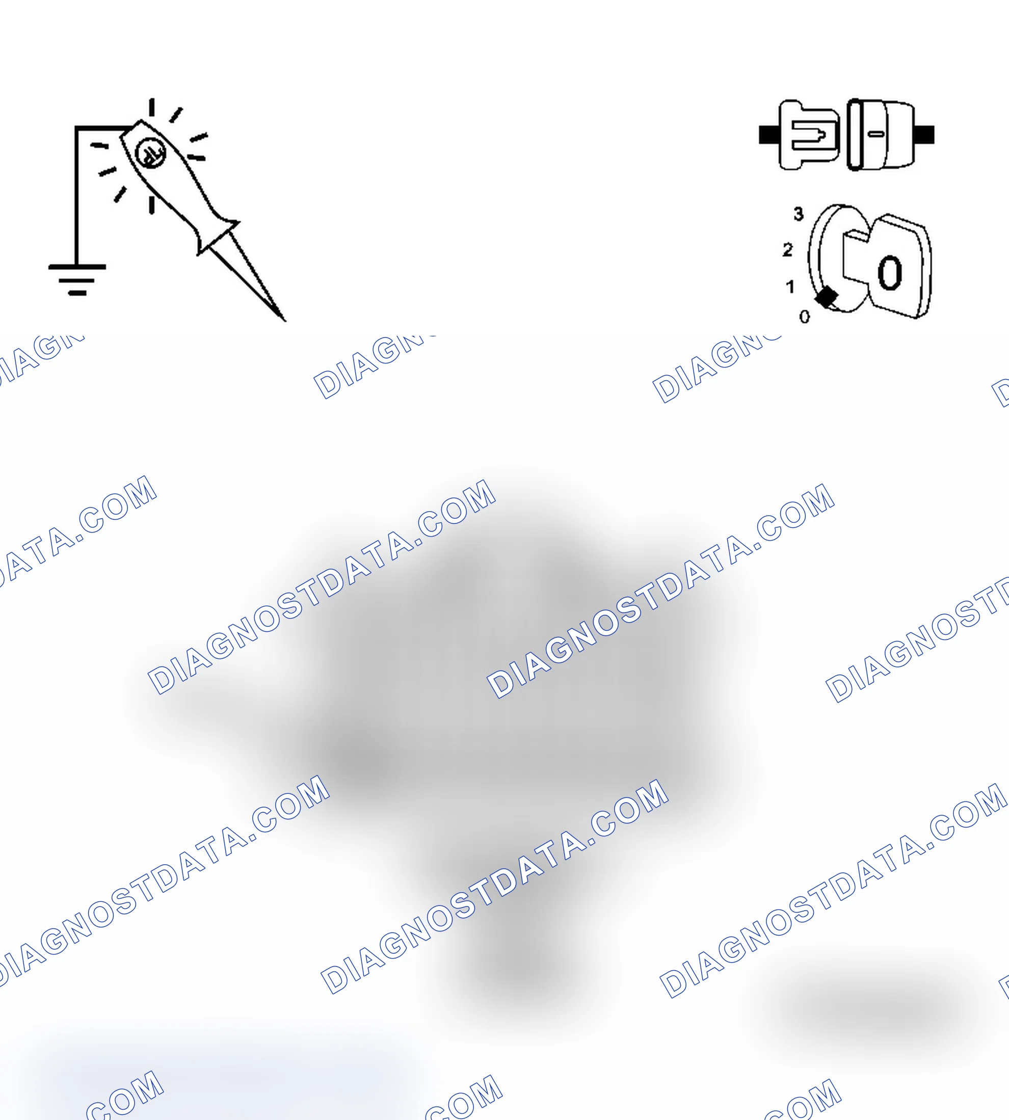 Scheme 12: Diagnostic Test