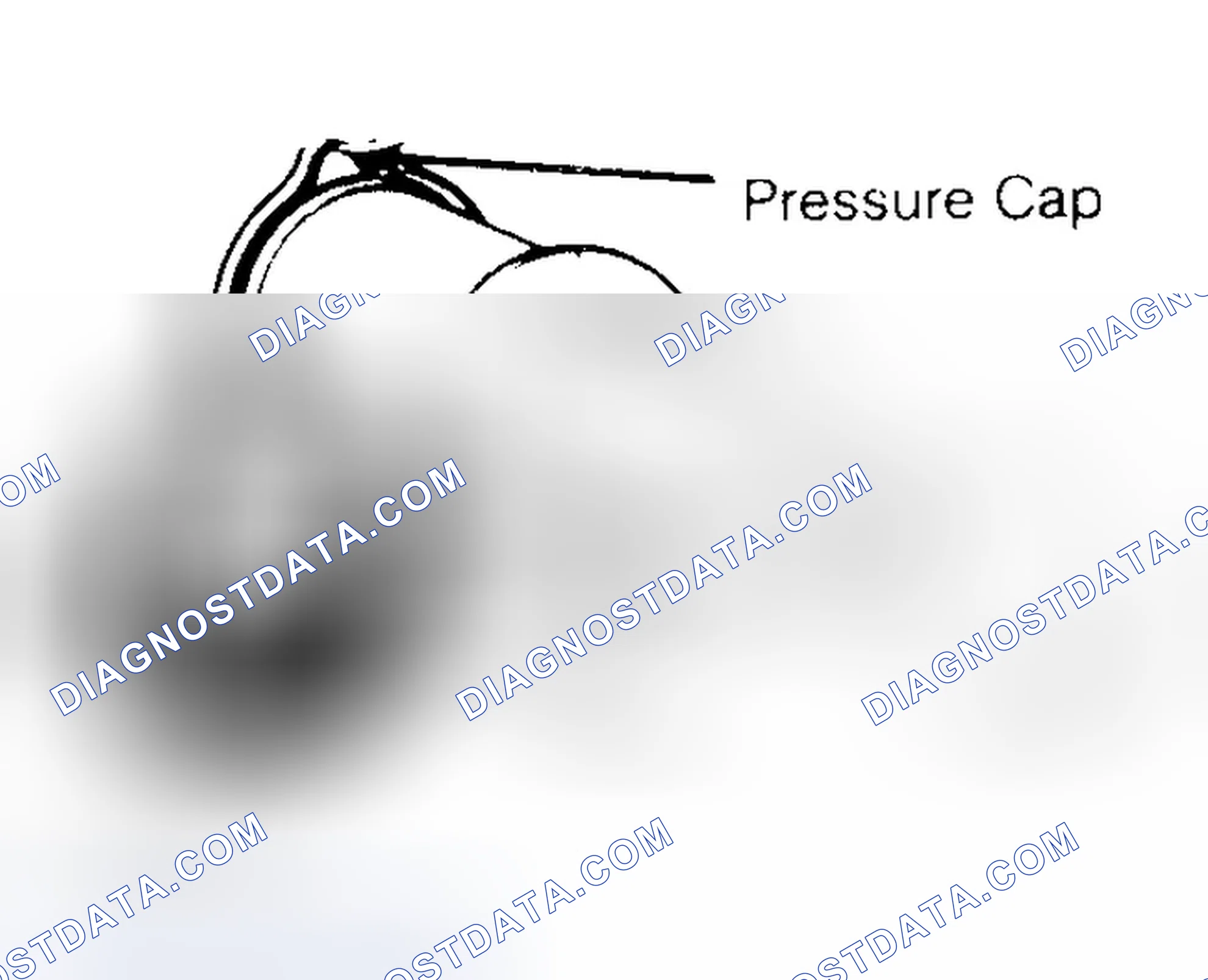 Scheme 2: Pressure Testing Radiator Cap