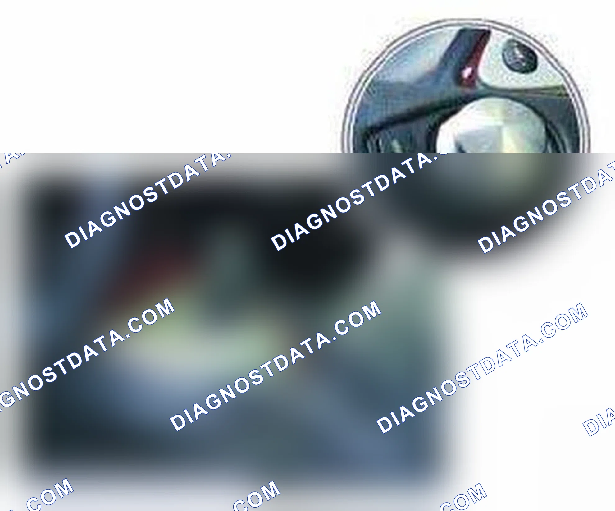 Scheme 191: Identifying RPA Button (Tire Failure Indicator)