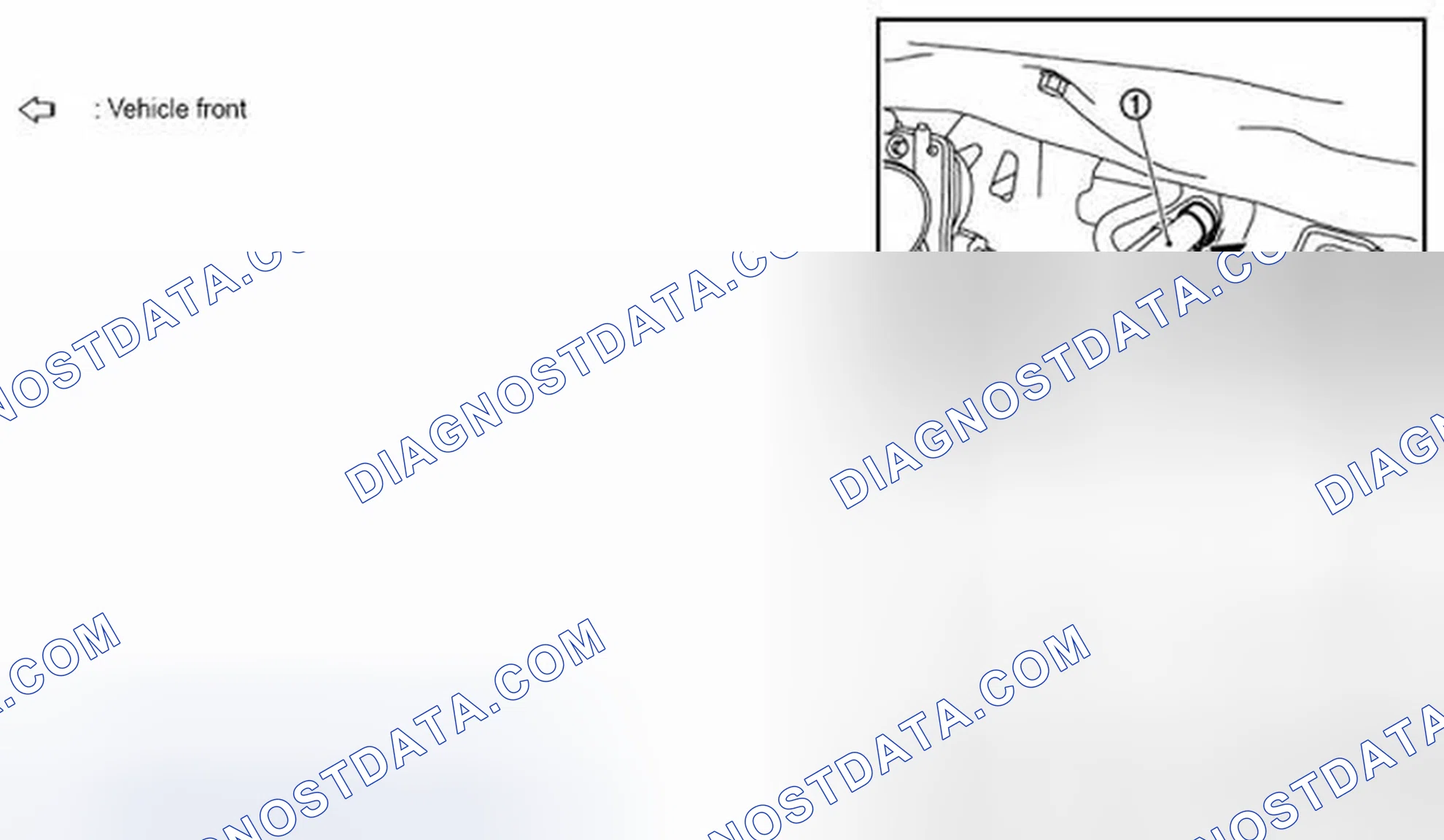 Scheme 34: Flushing