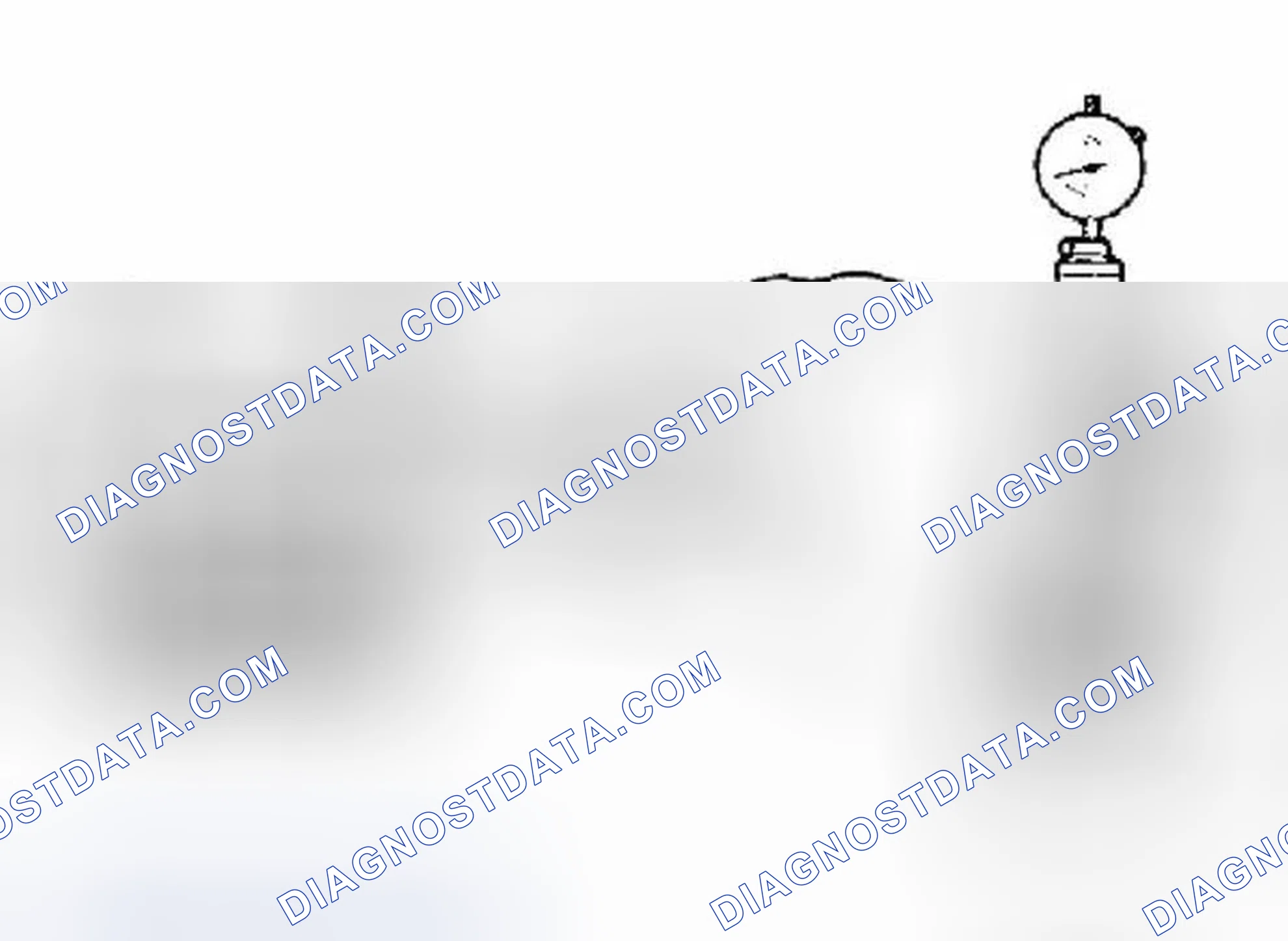 Scheme 169: Valve Springs