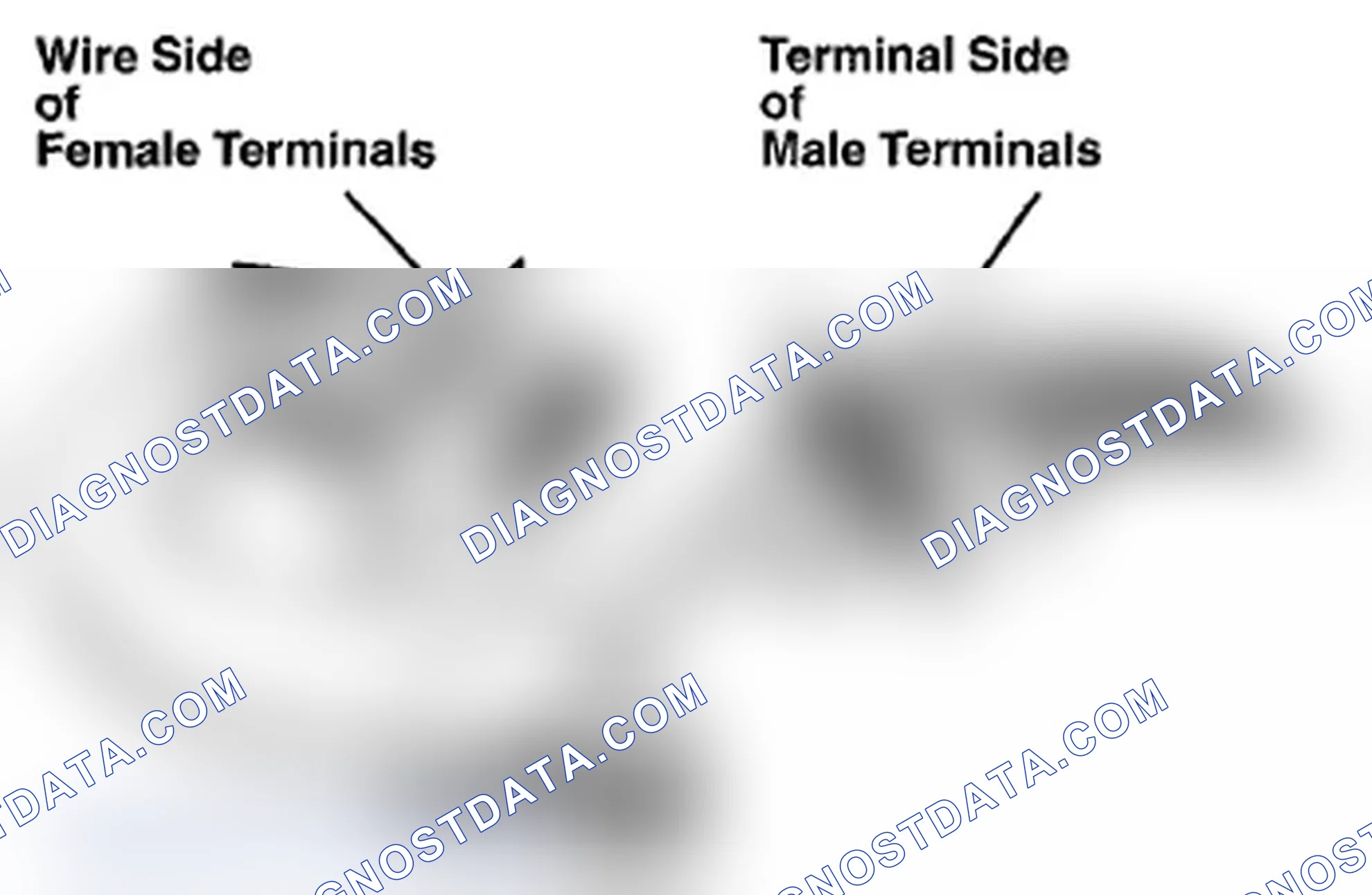 Scheme 1008: Identifying Female And Male Terminals
