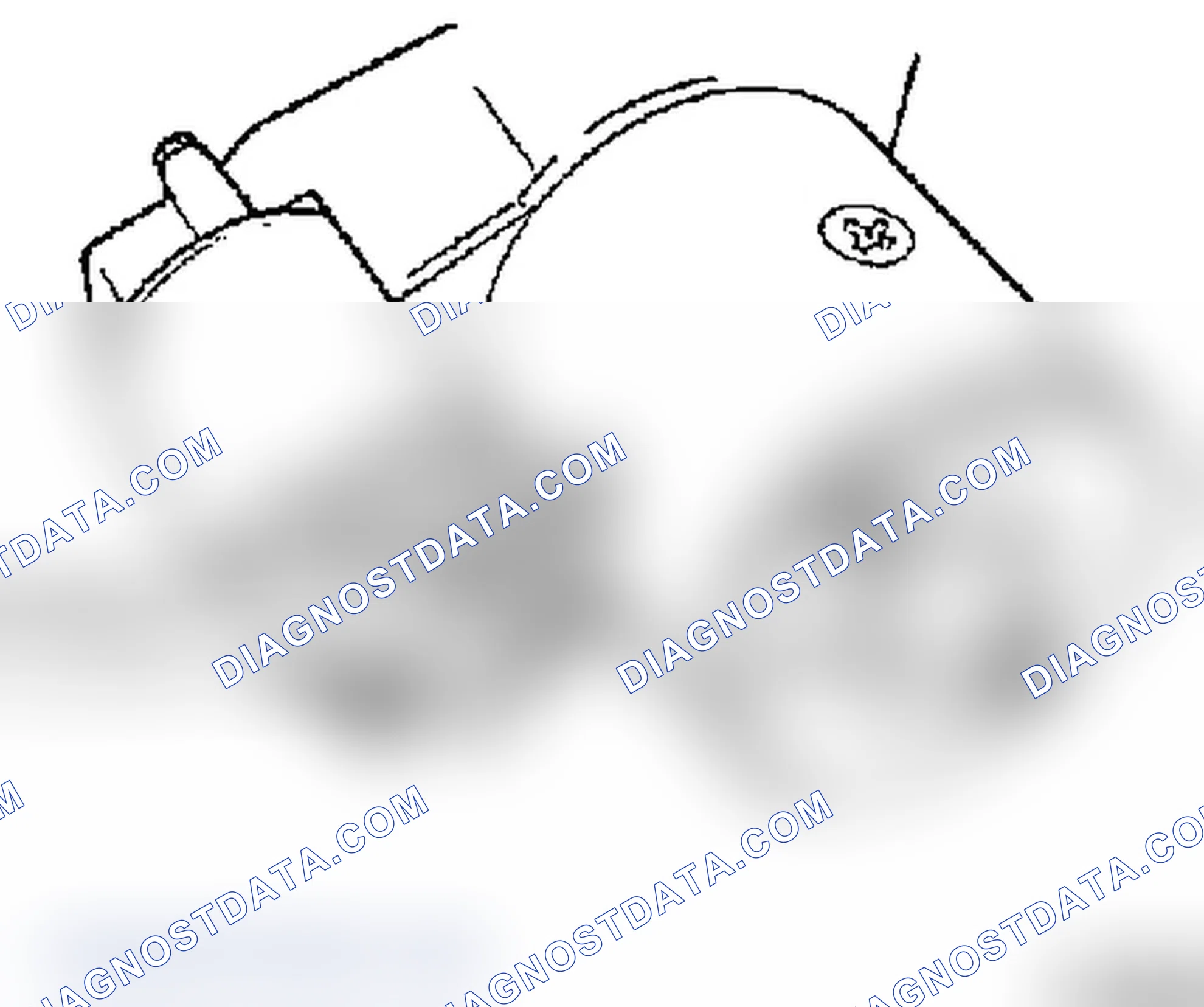 How to Assemble the Starter