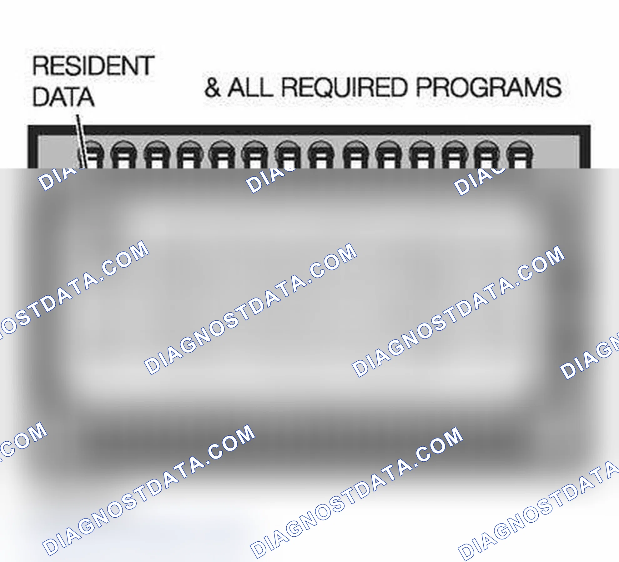 Scheme 335