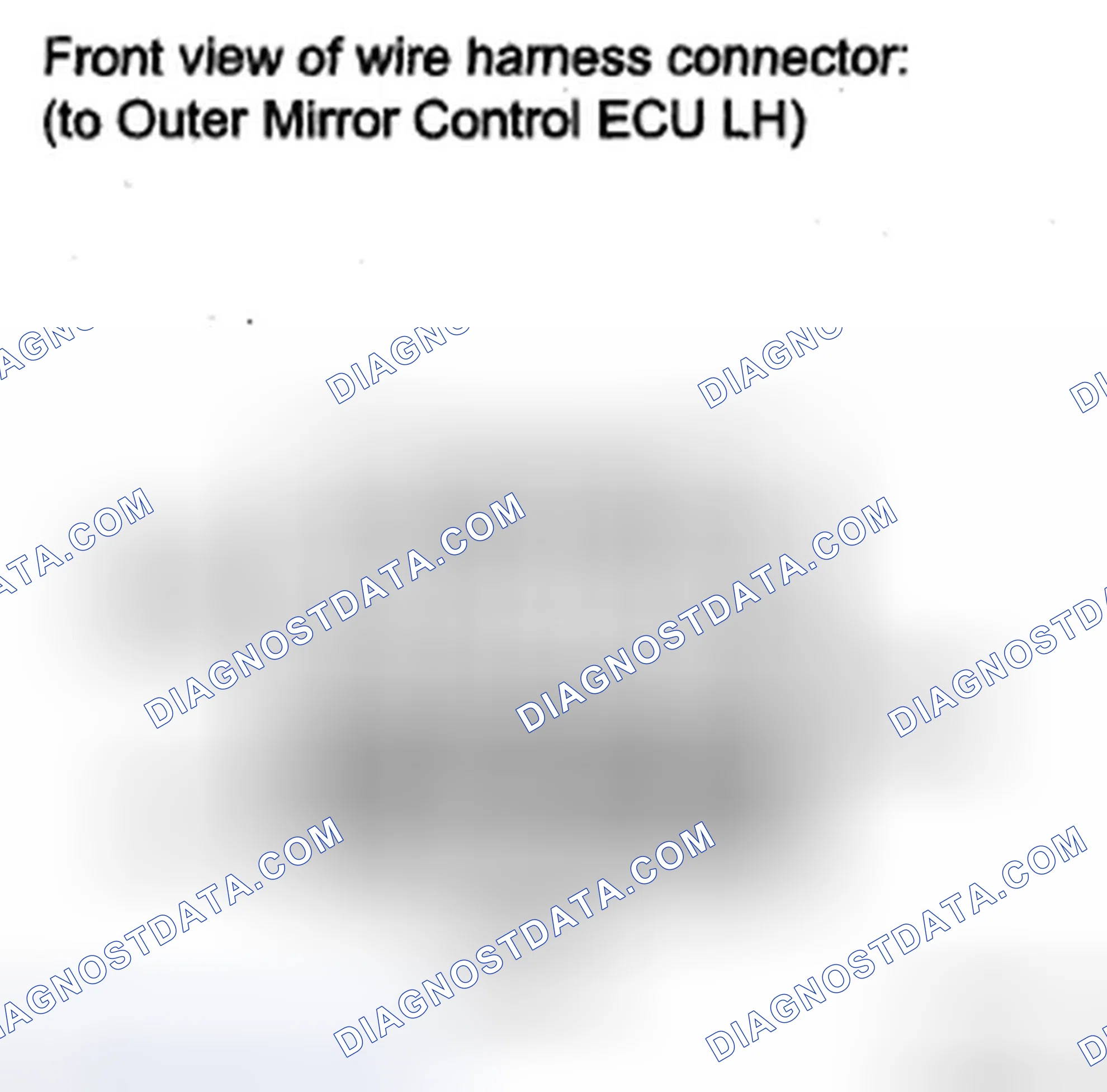 Scheme 98: INSPECTION PROCEDURE
