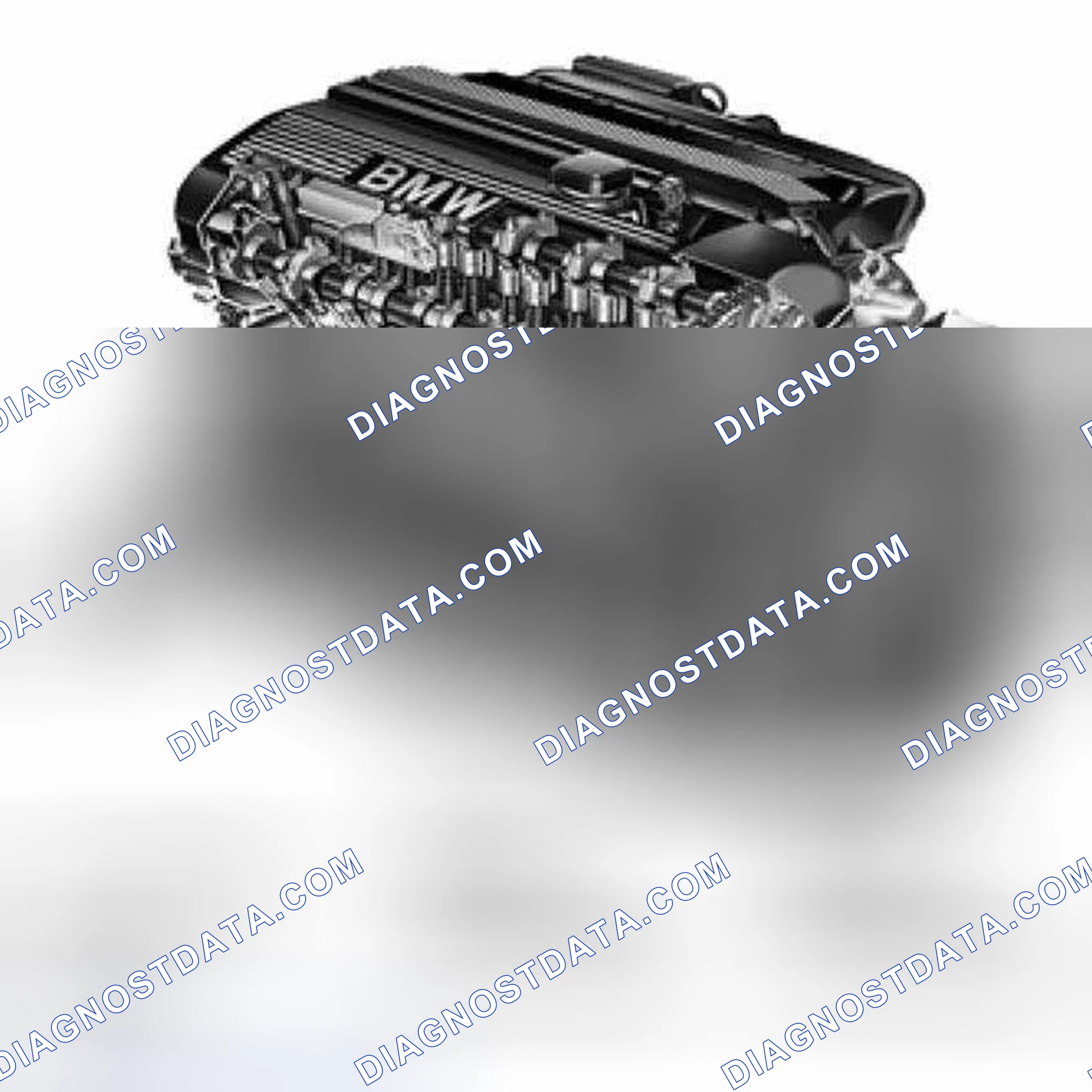 Scheme 117: Identifying M54 Engine Family