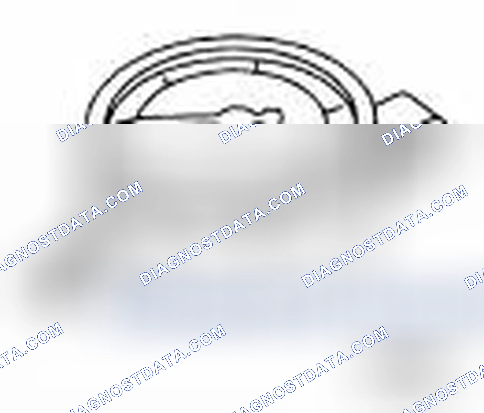 Scheme 13: Special Service Tool