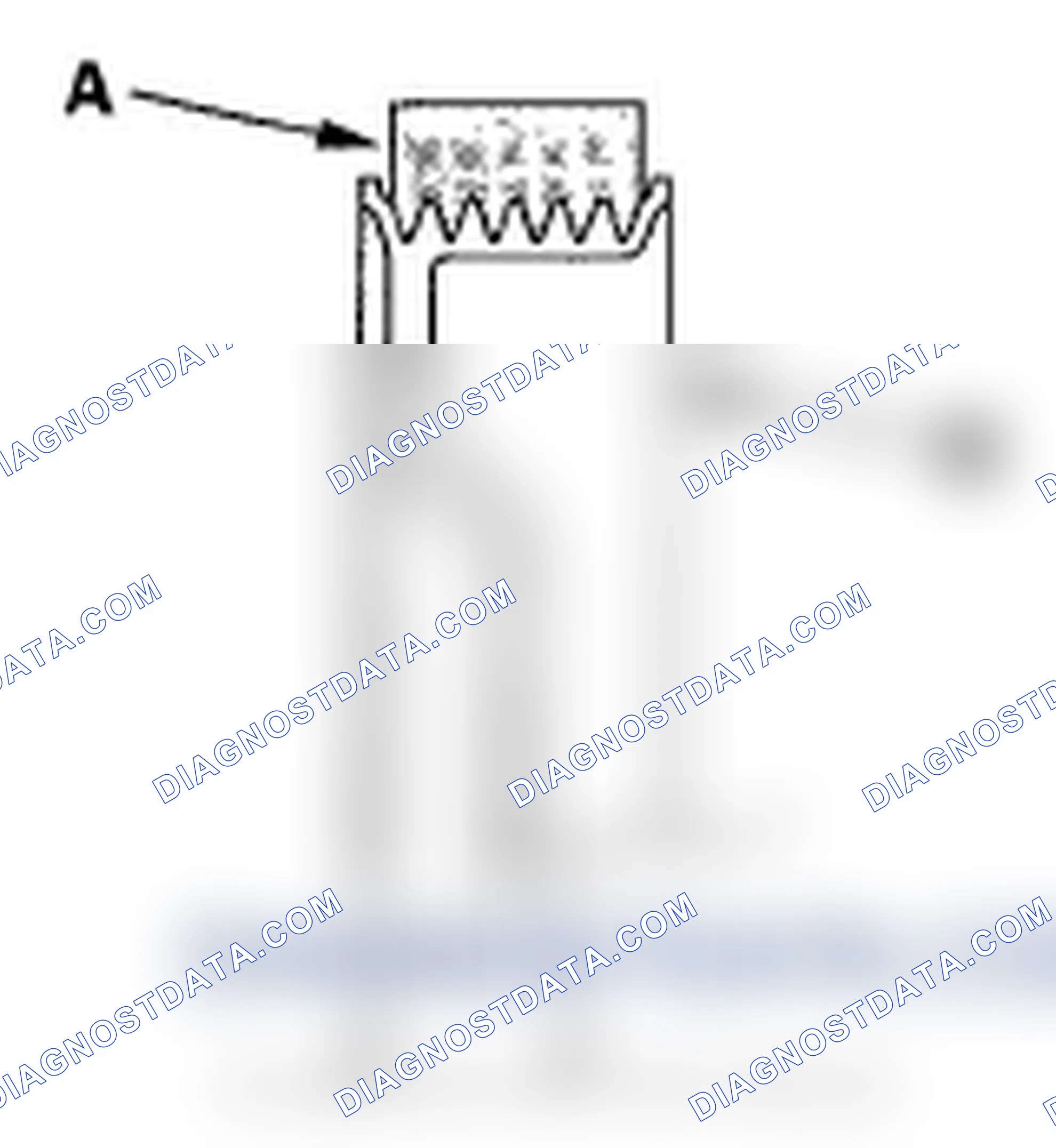 Scheme 19