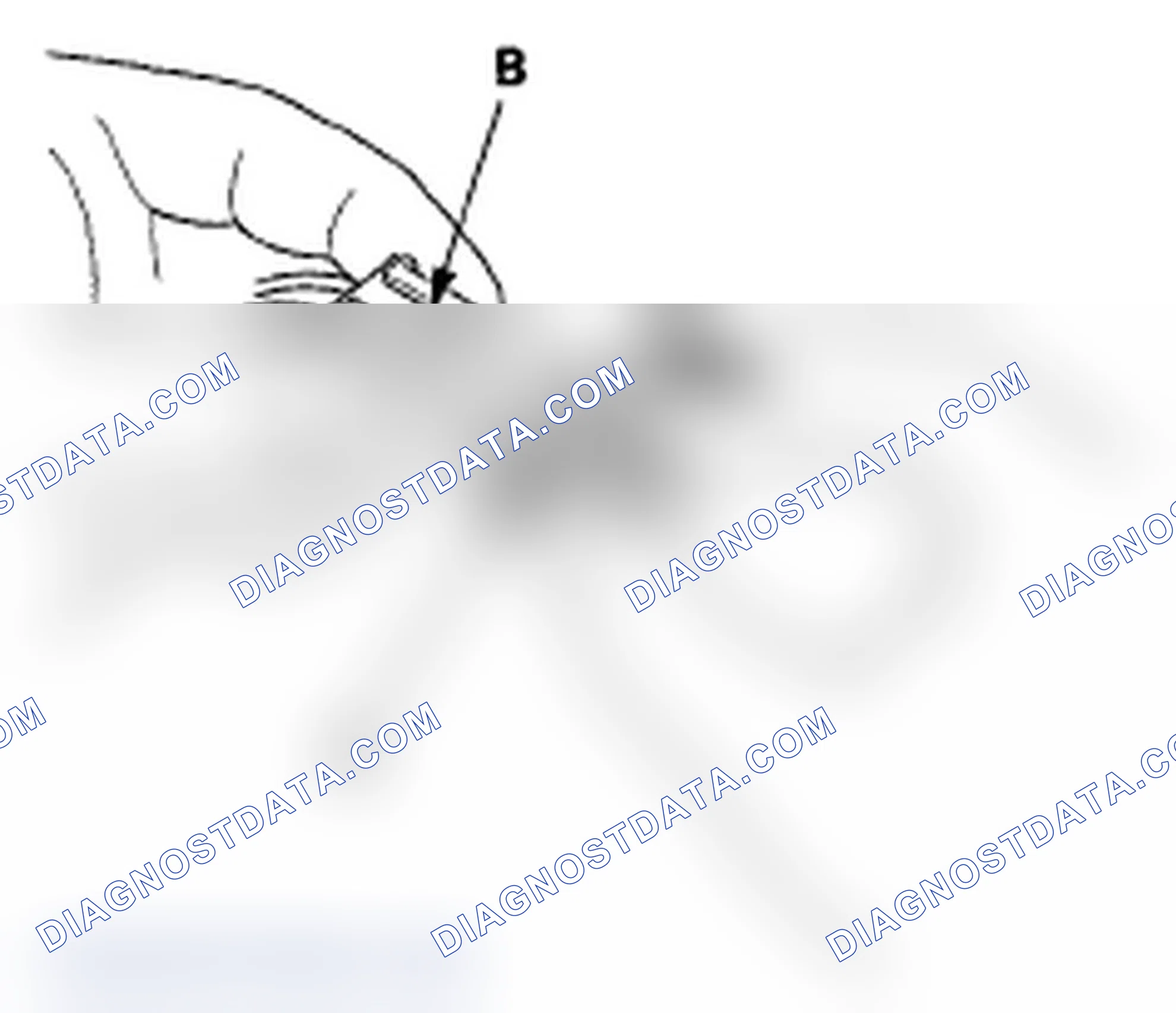 Scheme 16: Connecting