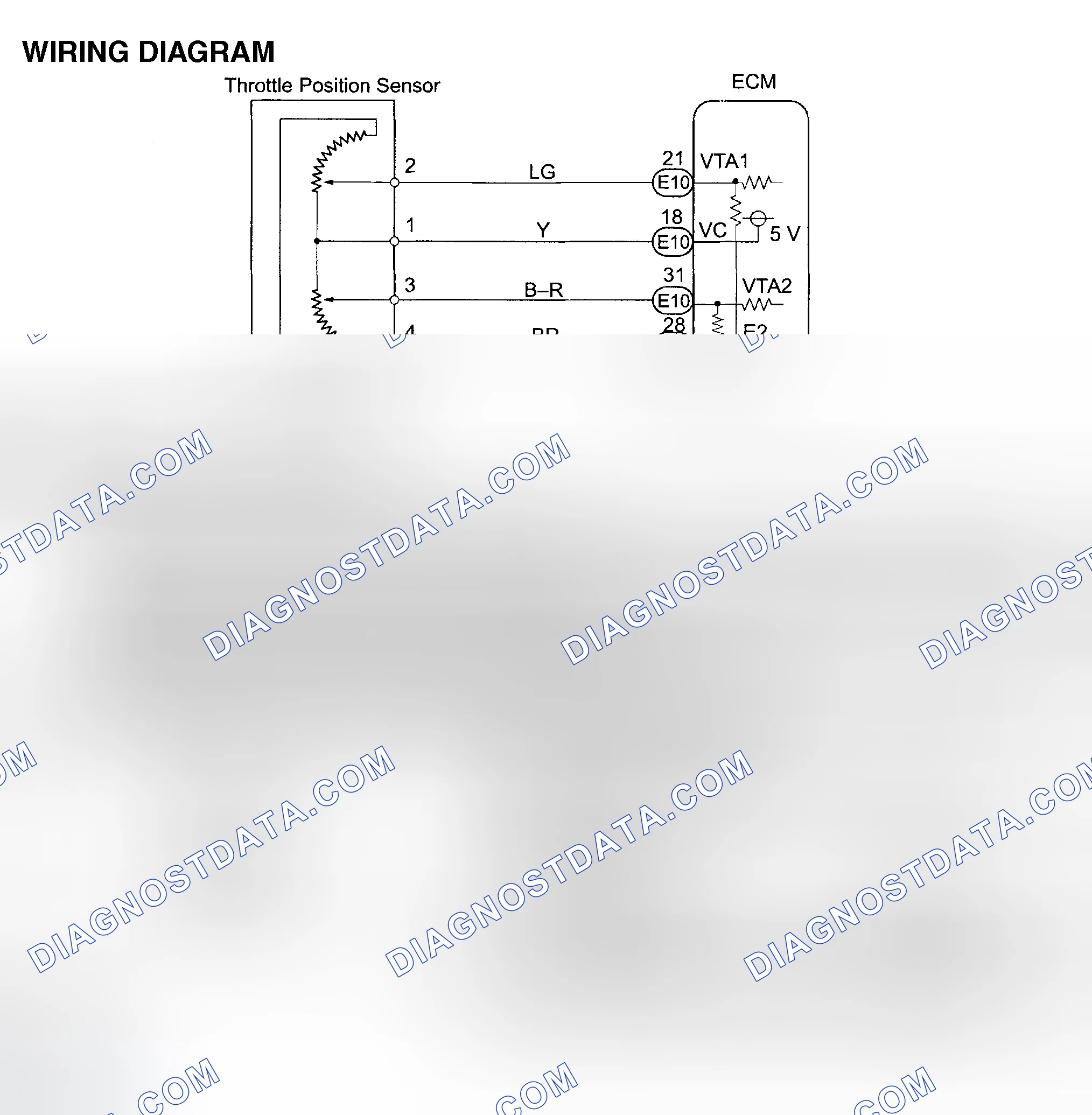 Scheme 558