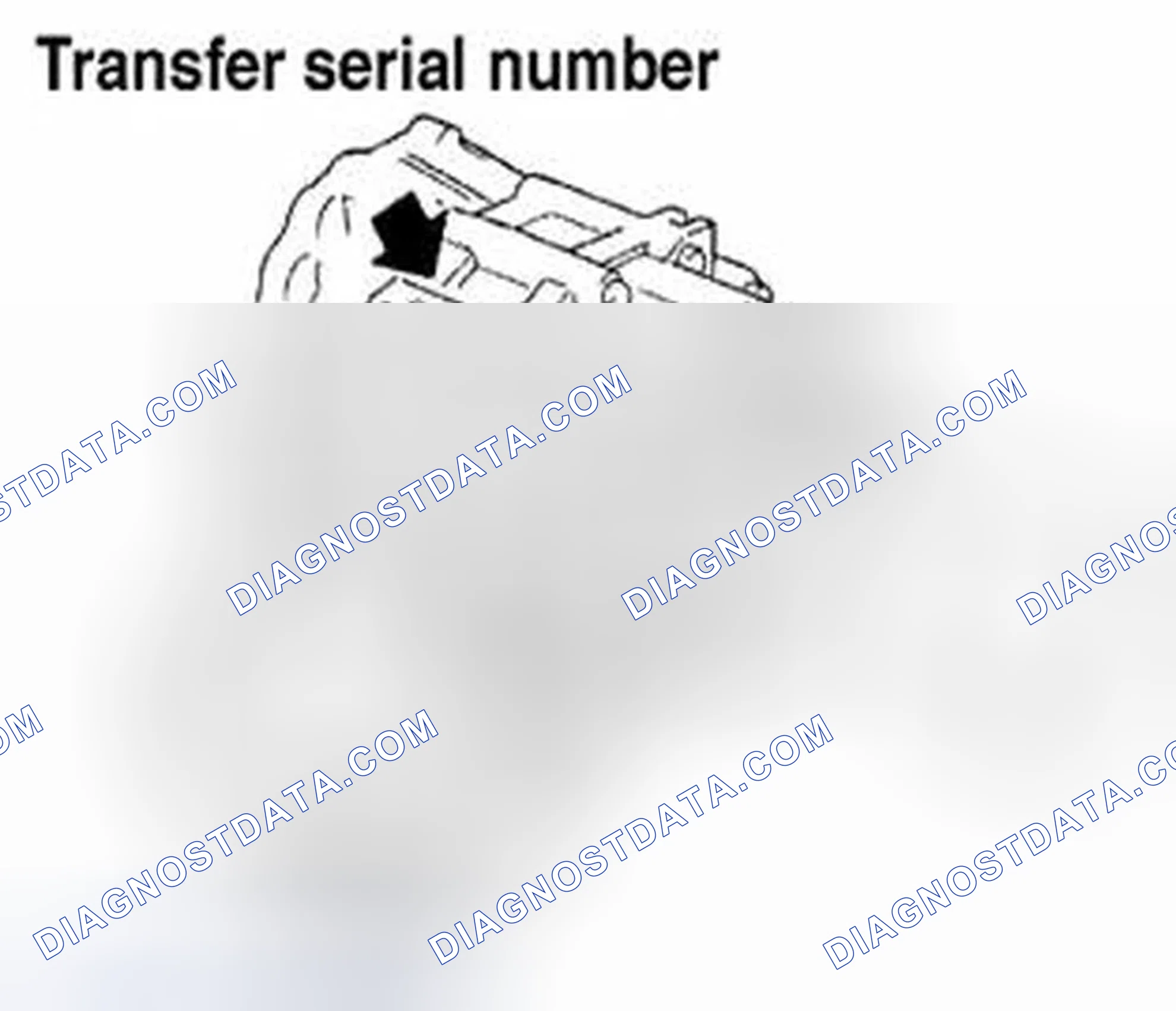 Scheme 10: TRANSFER SERIAL NUMBER