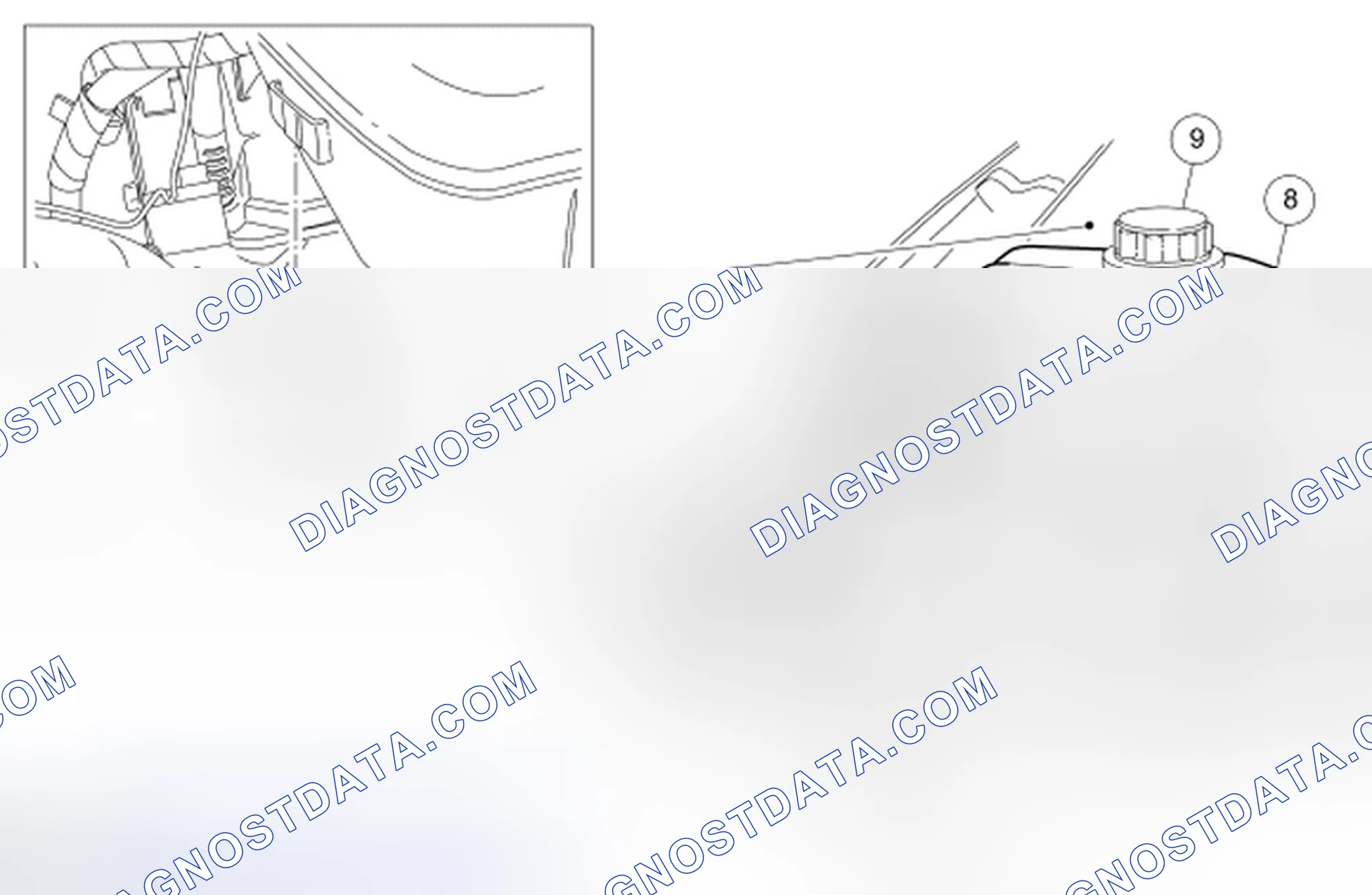 Scheme 2: Degas Bottle