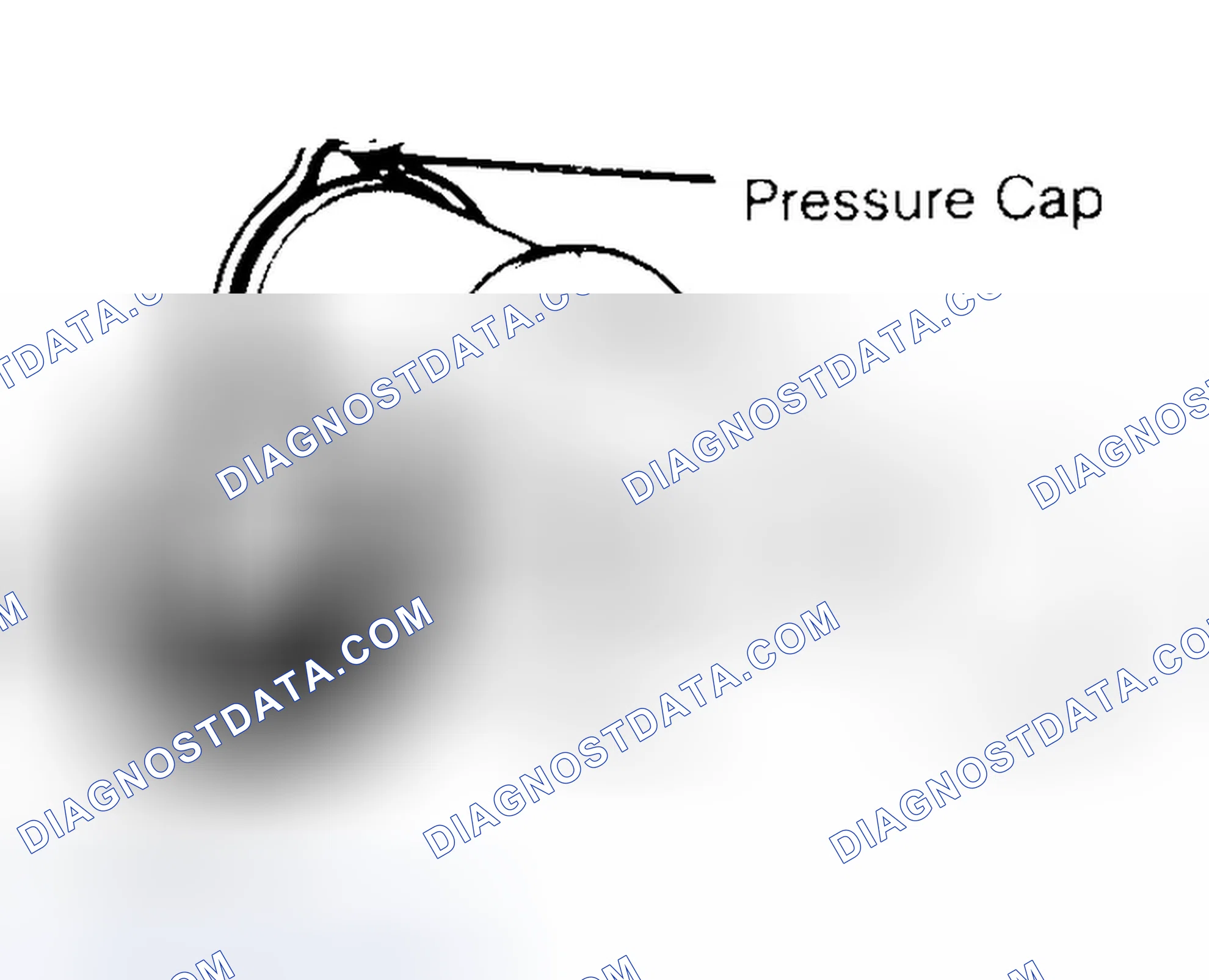 Scheme 2: Pressure Testing Radiator Cap