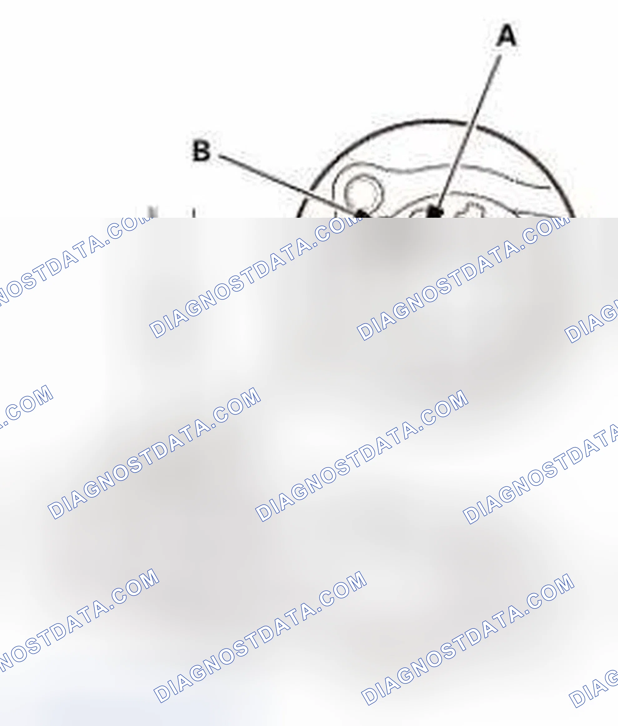 Scheme 256