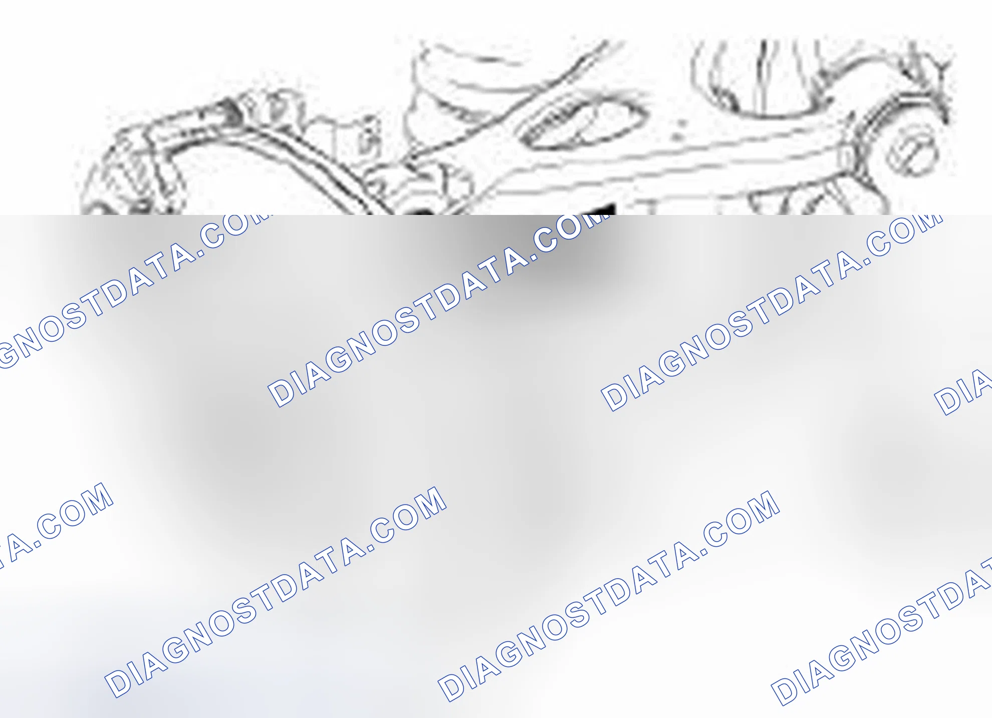 Scheme 3: Camber Adjustment - Rear
