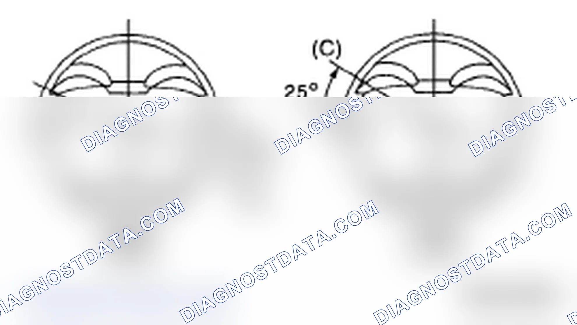 Scheme 206