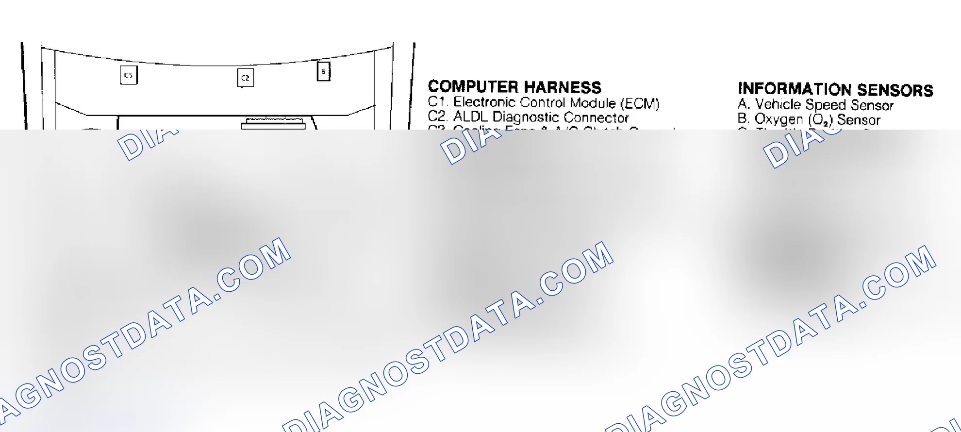Scheme 242