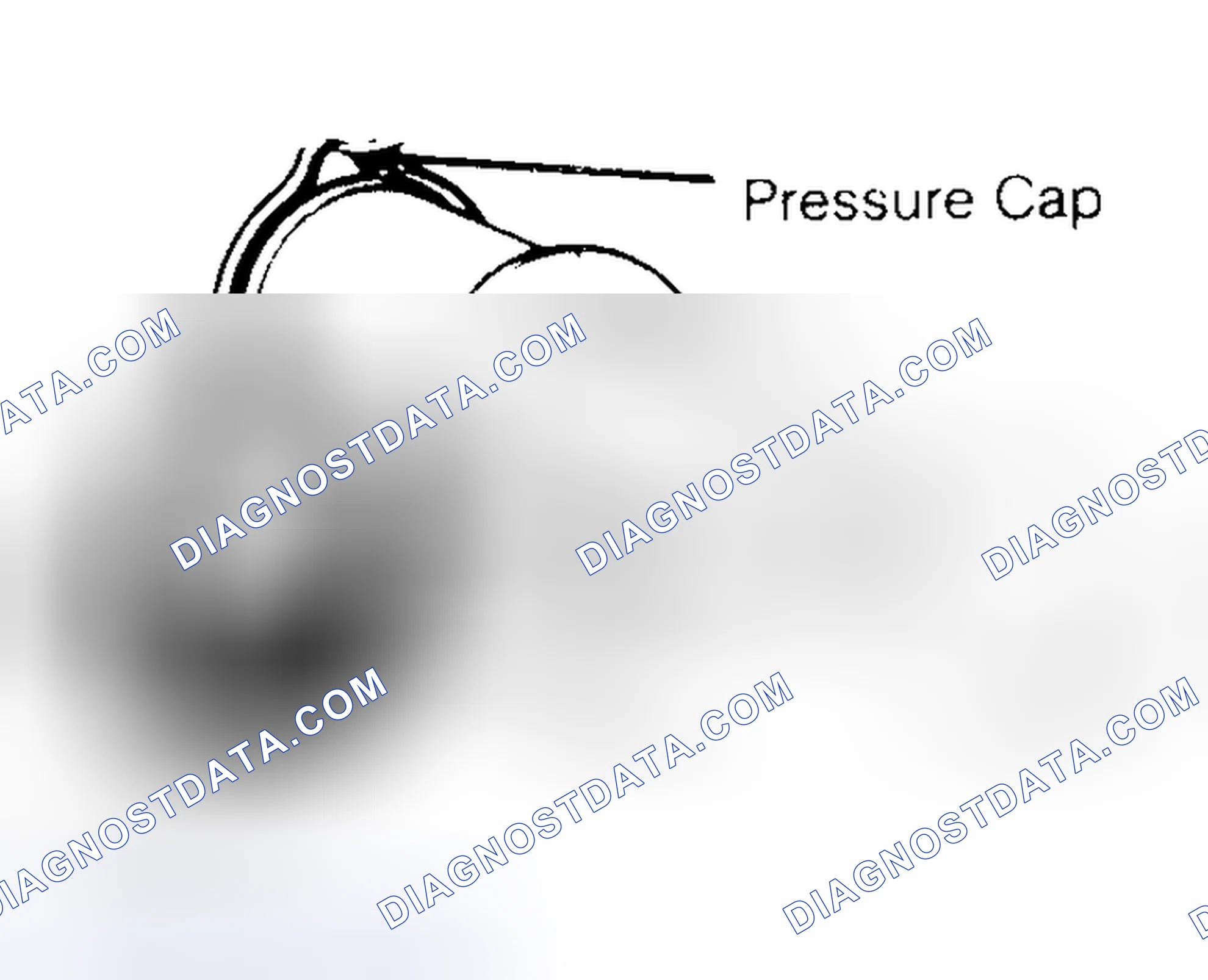 Scheme 2: Pressure Testing Radiator Cap