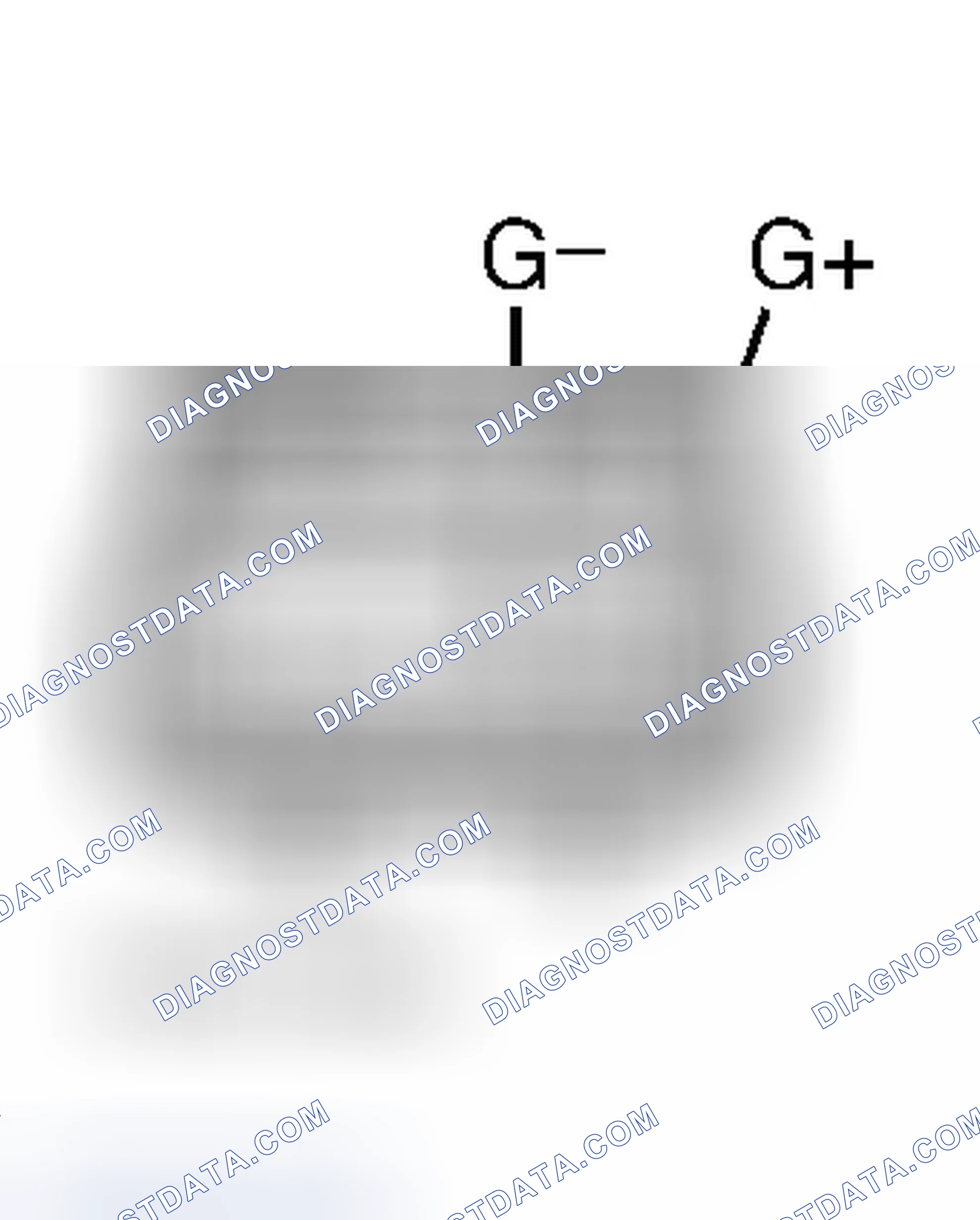 Scheme 7