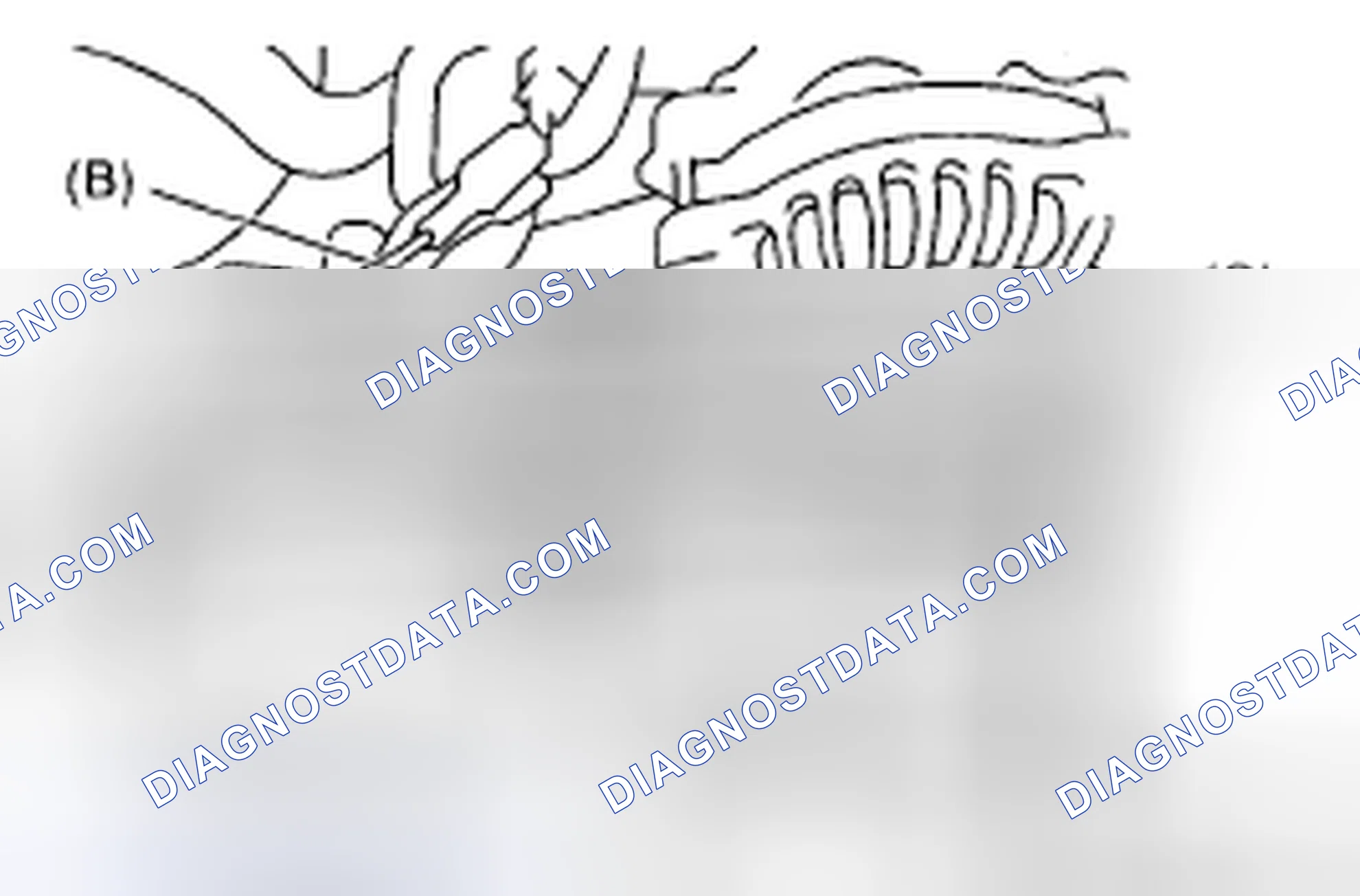 Fig. 61: Identifying Front Side Belt, Lock And Slider Bolt