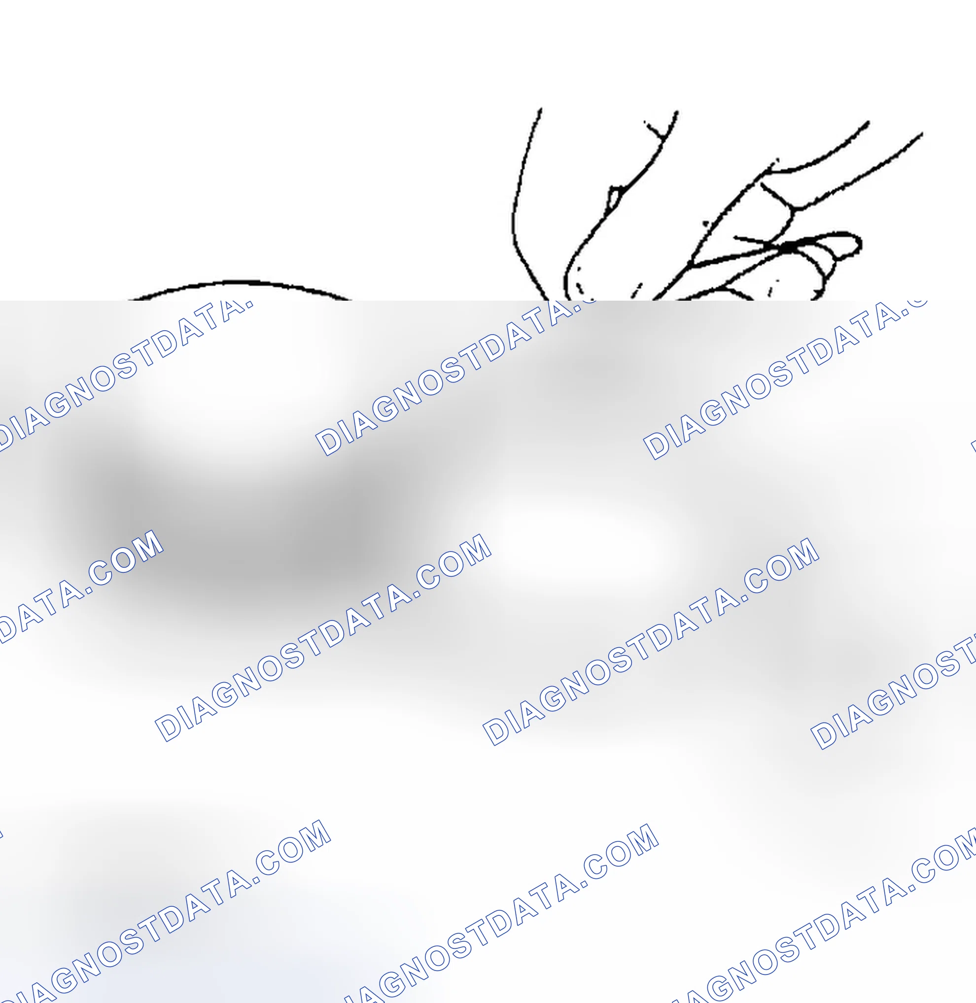 Scheme 19: PISTON RING CLEARANCE INSPECTION