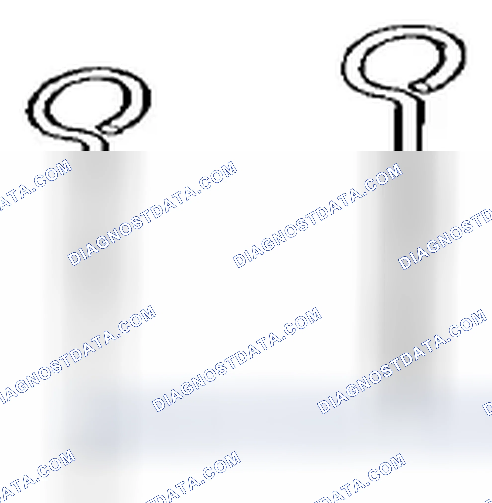Scheme 51: 11 3 340 Locking Pin (2 Pieces)