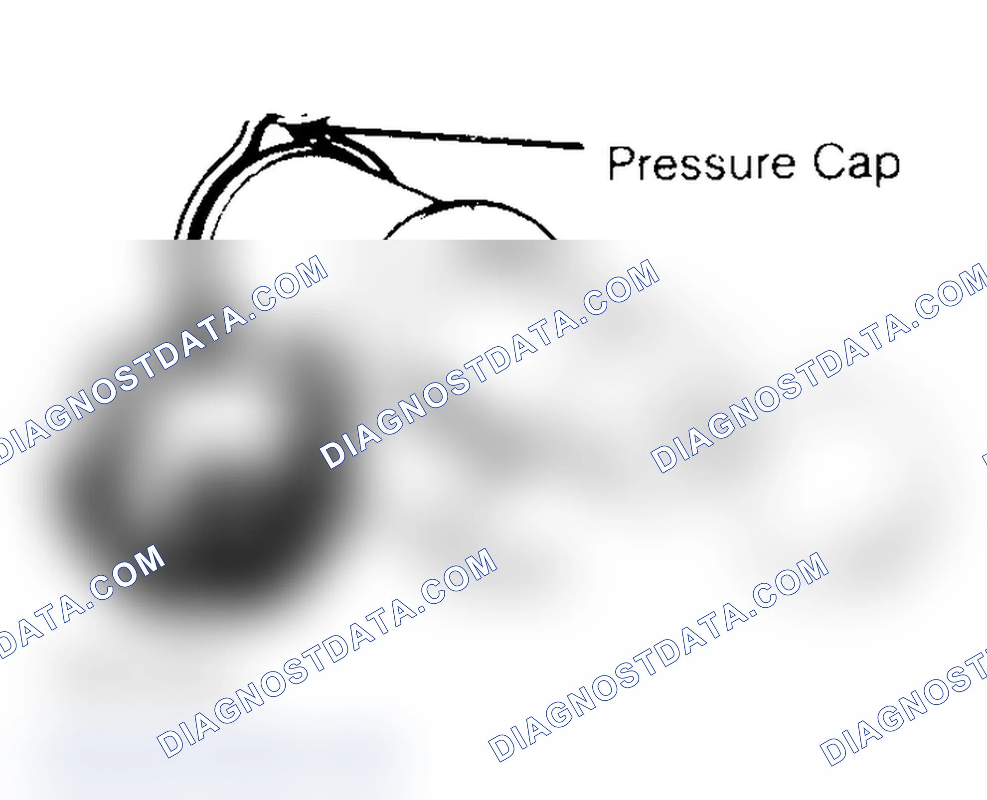 Scheme 2: Pressure Testing Radiator Cap