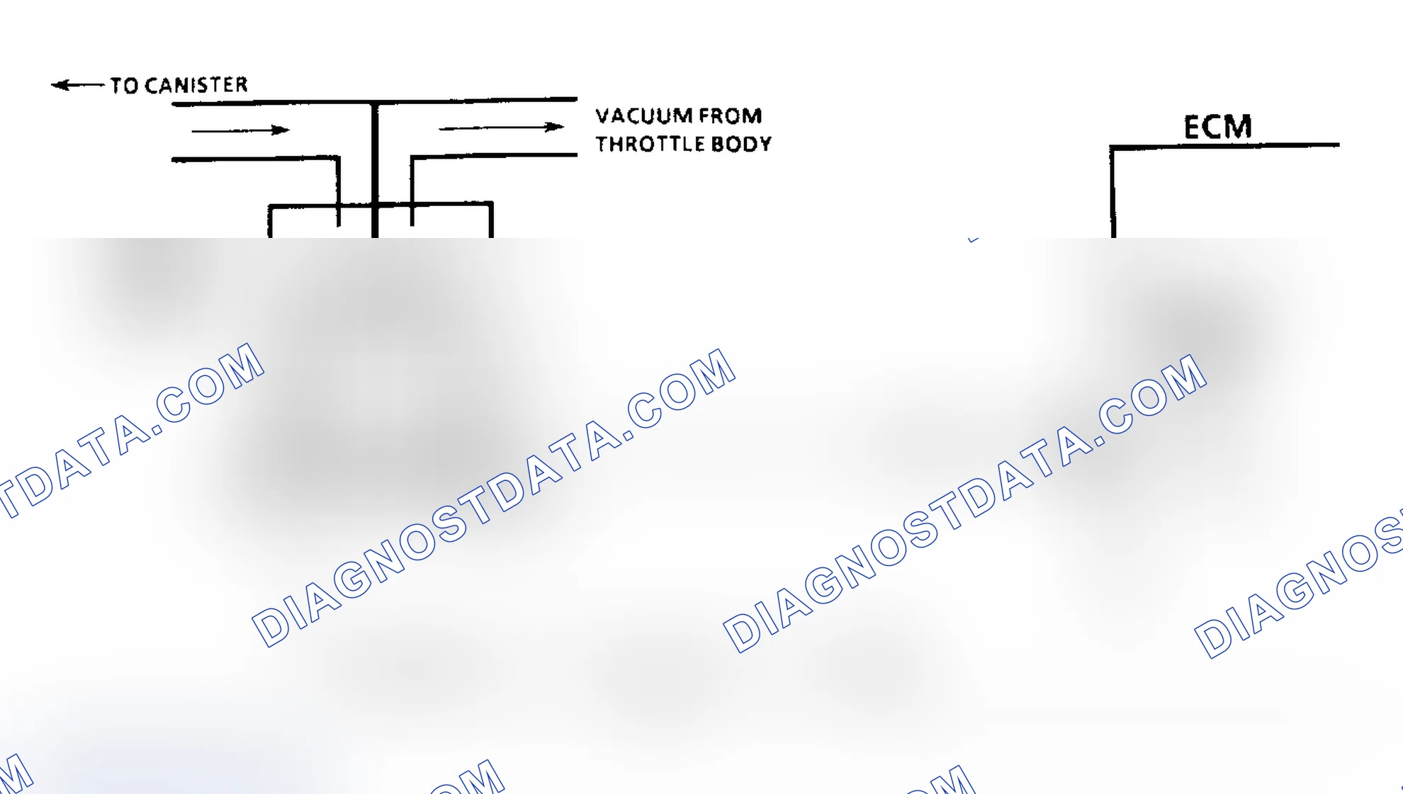 Scheme 480: Chart C3 Schematic, Canister Purge Check (3.3L "A" & "N" Bodies)