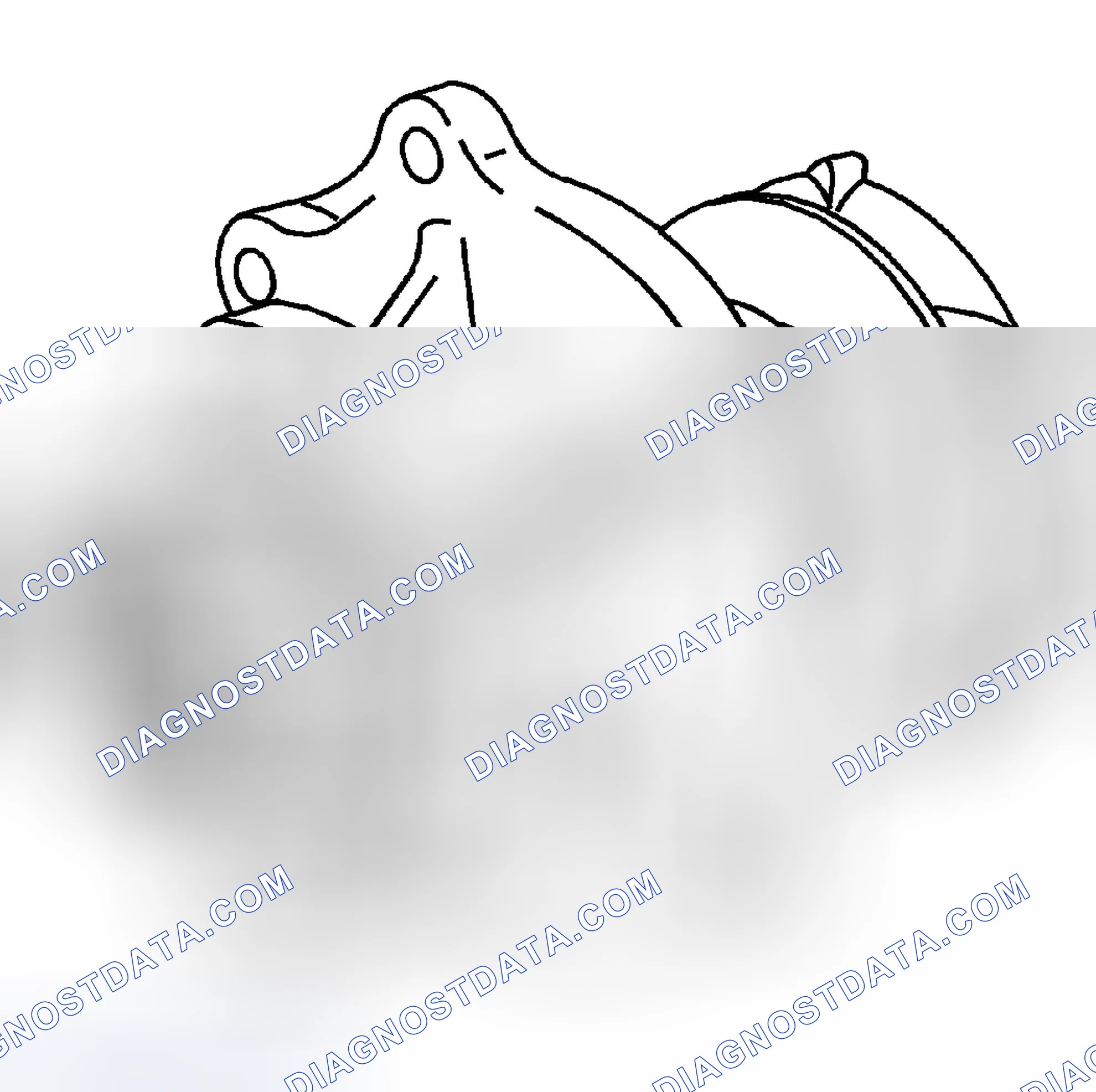 Scheme 135: Water Pump Cleaning and Inspection
