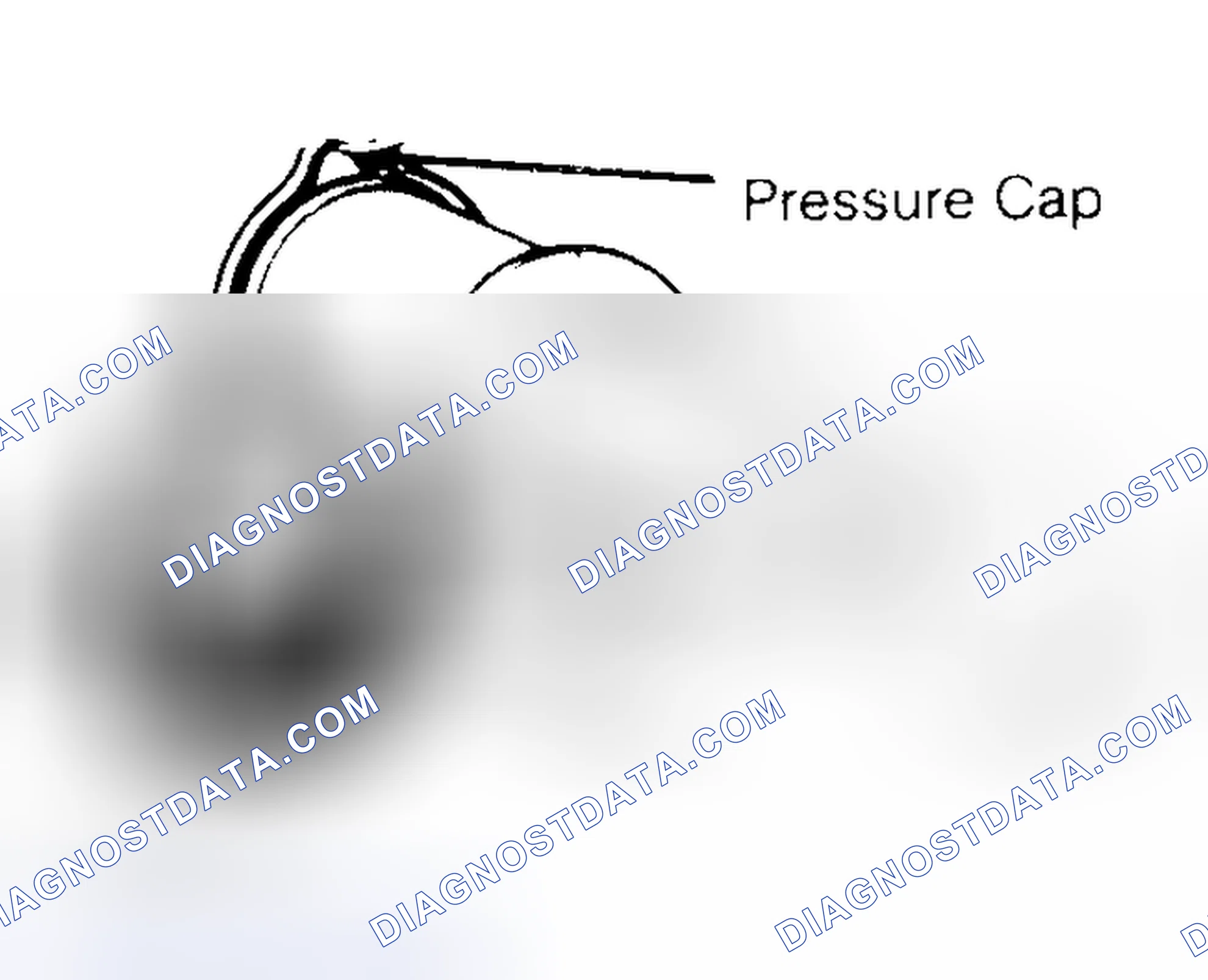 Scheme 2: Pressure Testing Radiator Cap