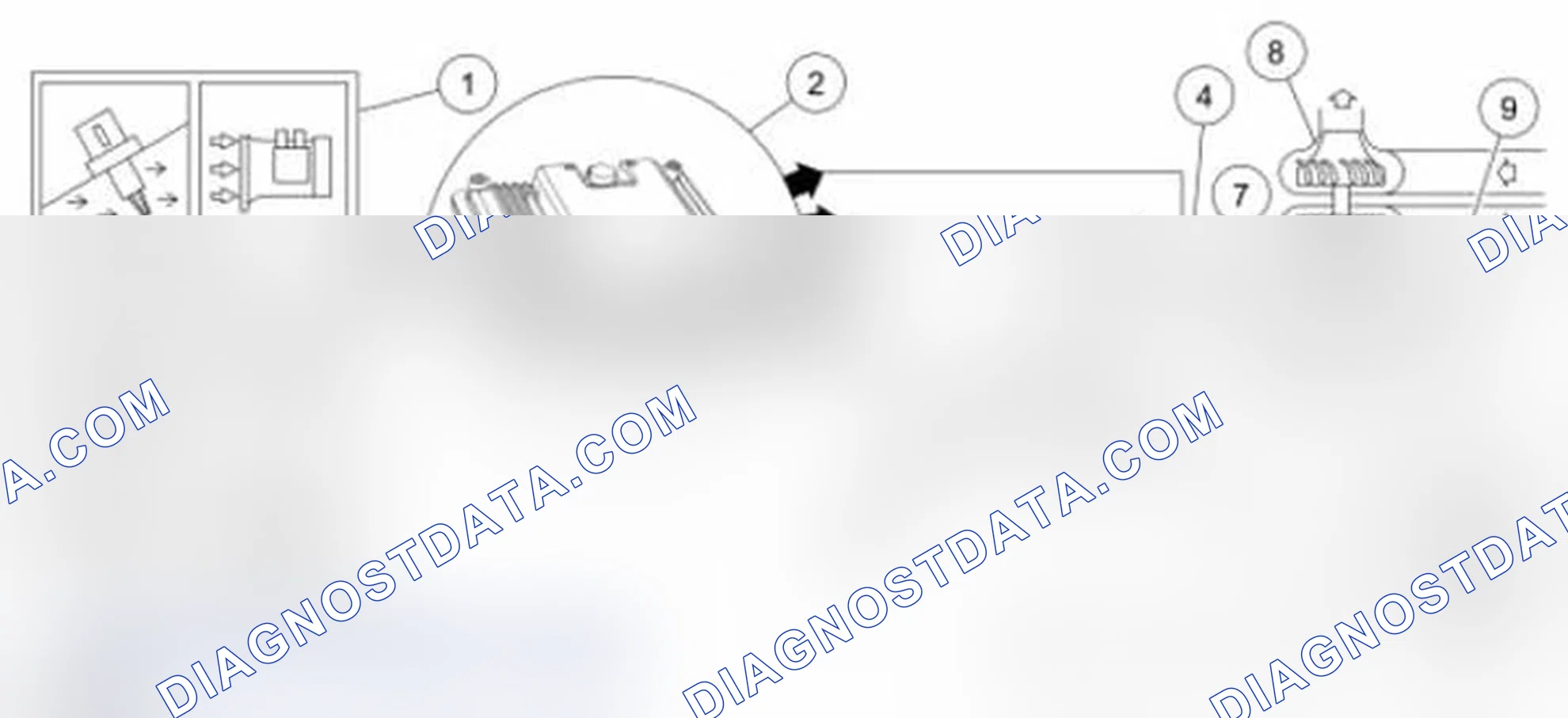 Scheme 95: Enhanced Evaporative Emission (EVAP) System - All Others