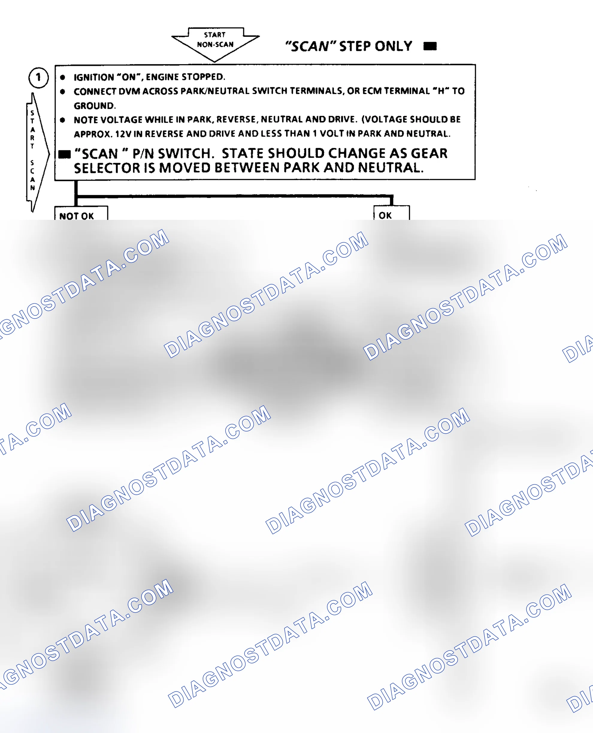 Scheme 141: Chart 24B - Park/Neutral Circuit (P/N) Flow Chart