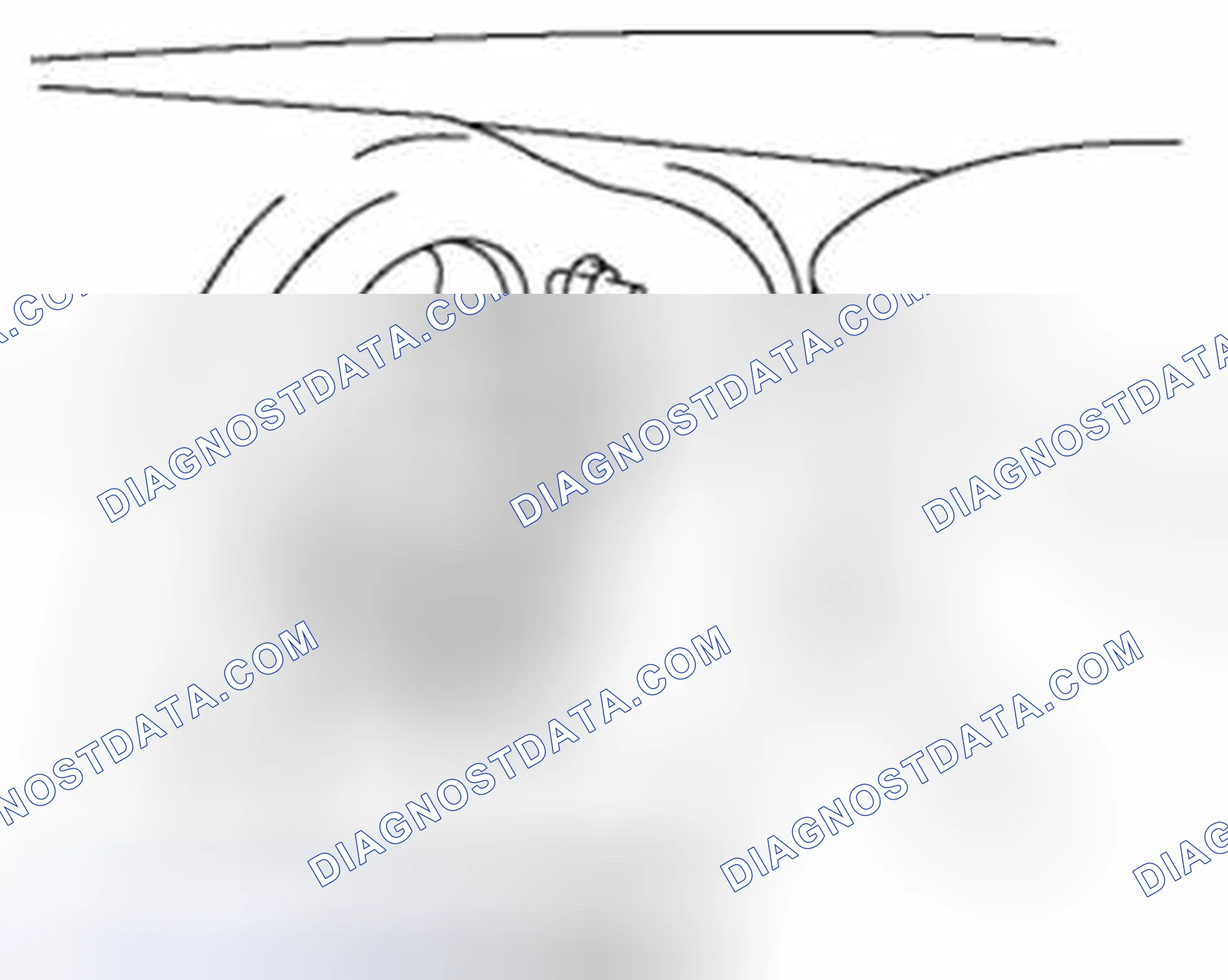 Scheme 87: BRAKE/TAILLIGHT BULB REMOVAL/INSTALLATION